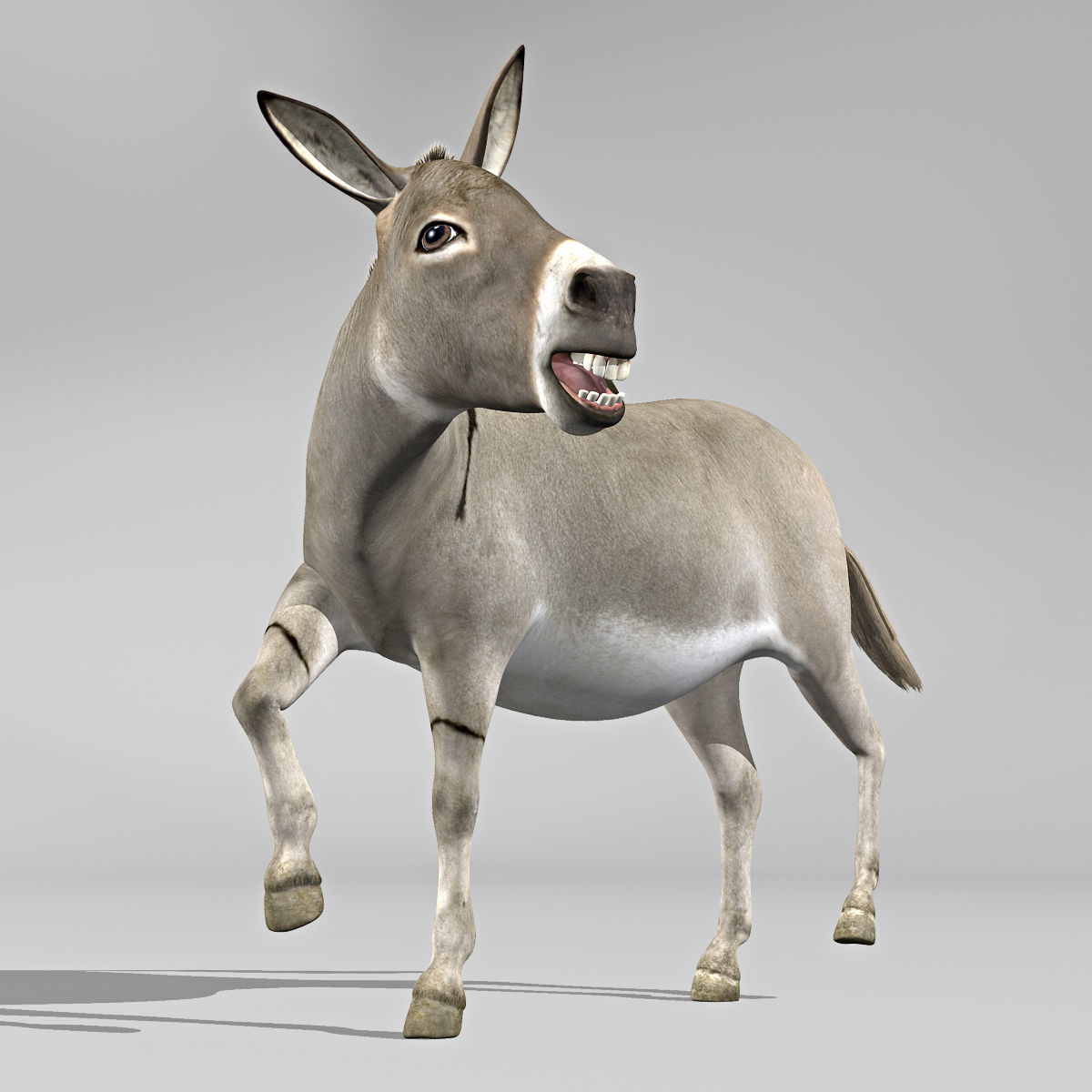 Donkey 3D model_3