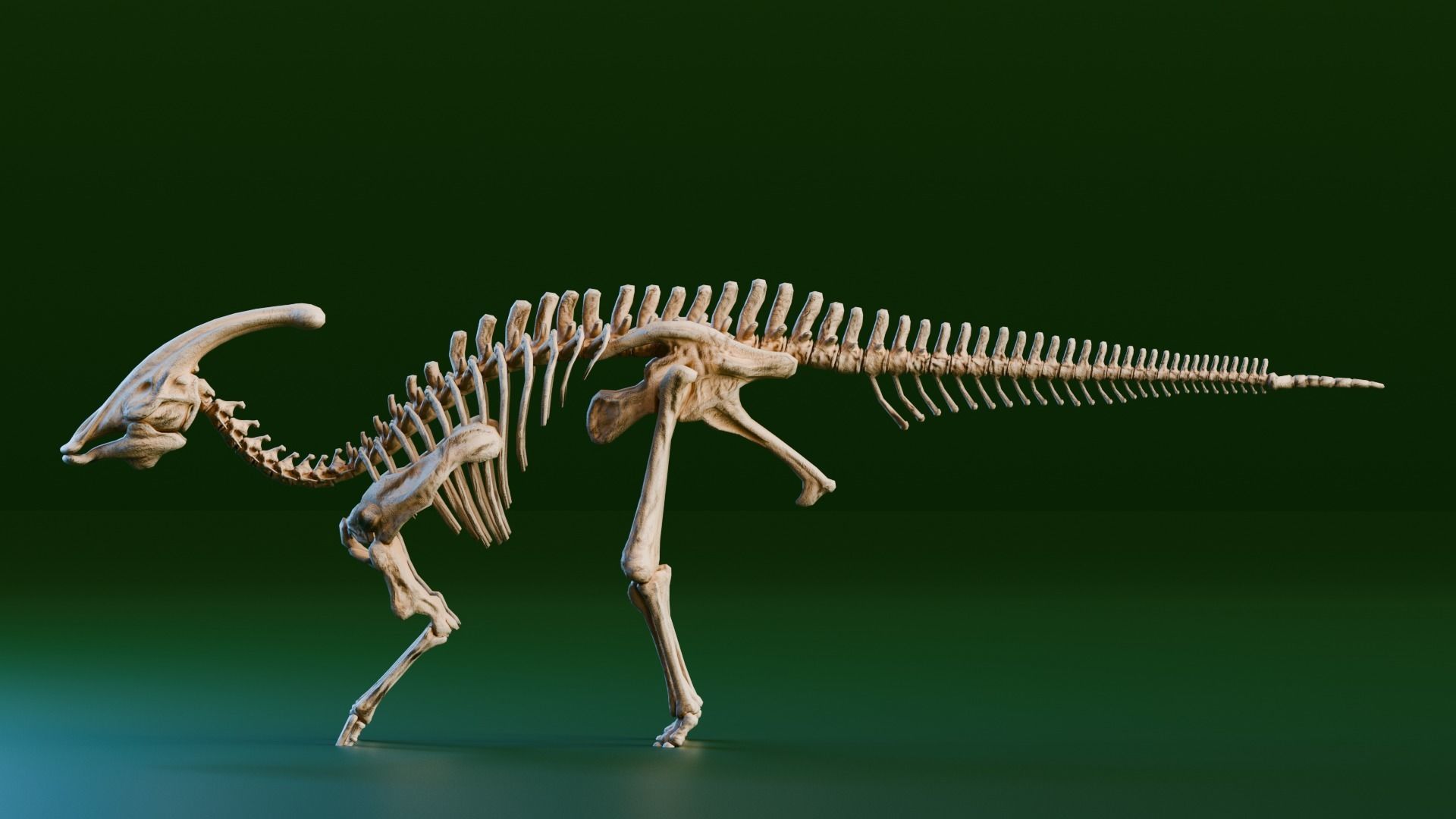 Realistic Ancient Reptilians Fossil Low-poly 3D model_15