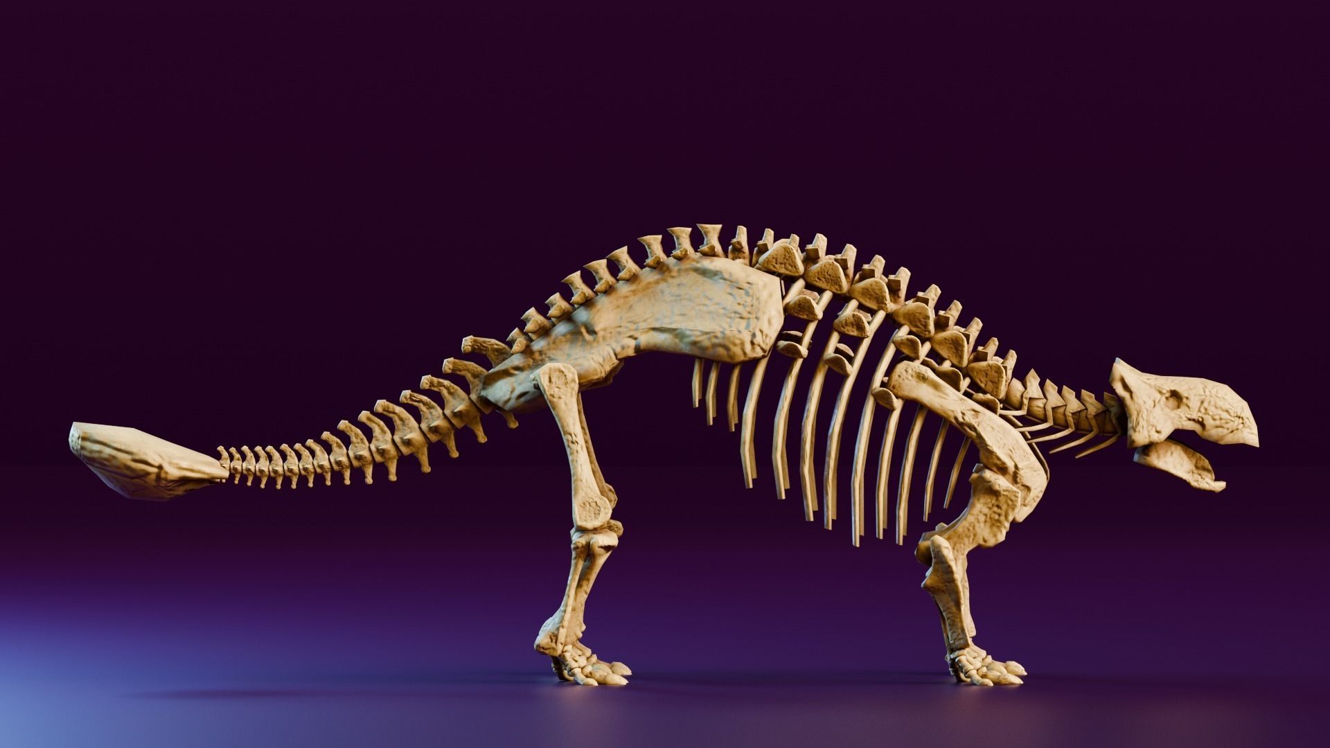 Realistic Ancient Reptilians Fossil Low-poly 3D model_11