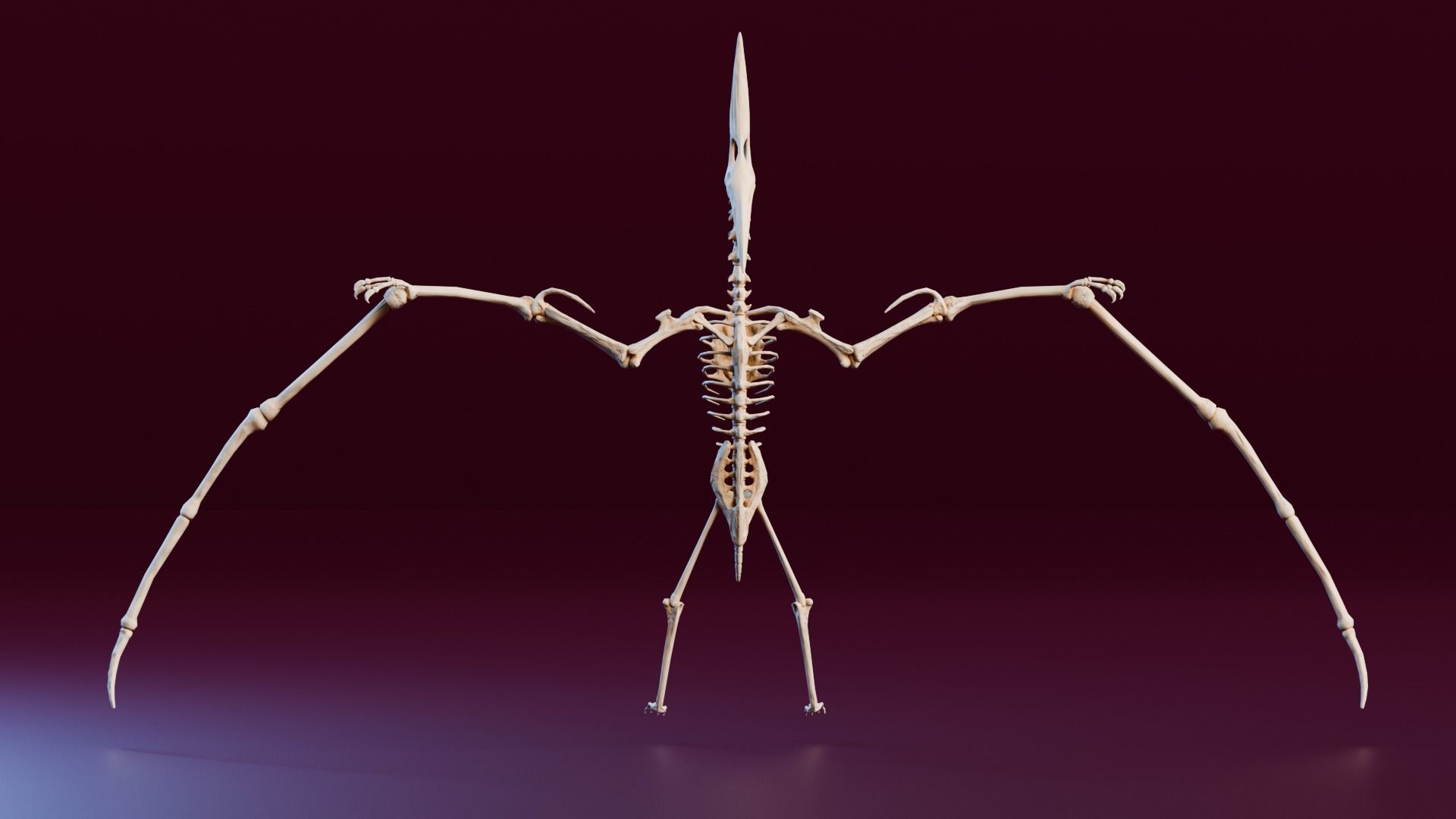 Realistic Ancient Reptilians Fossil Low-poly 3D model_21