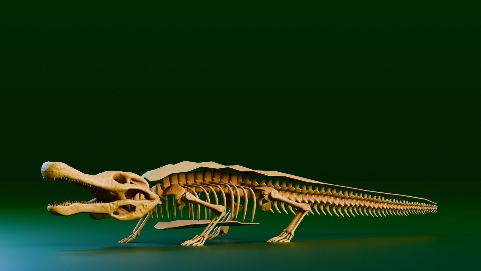 Realistic Ancient Reptilians Fossil Low-poly 3D model_7