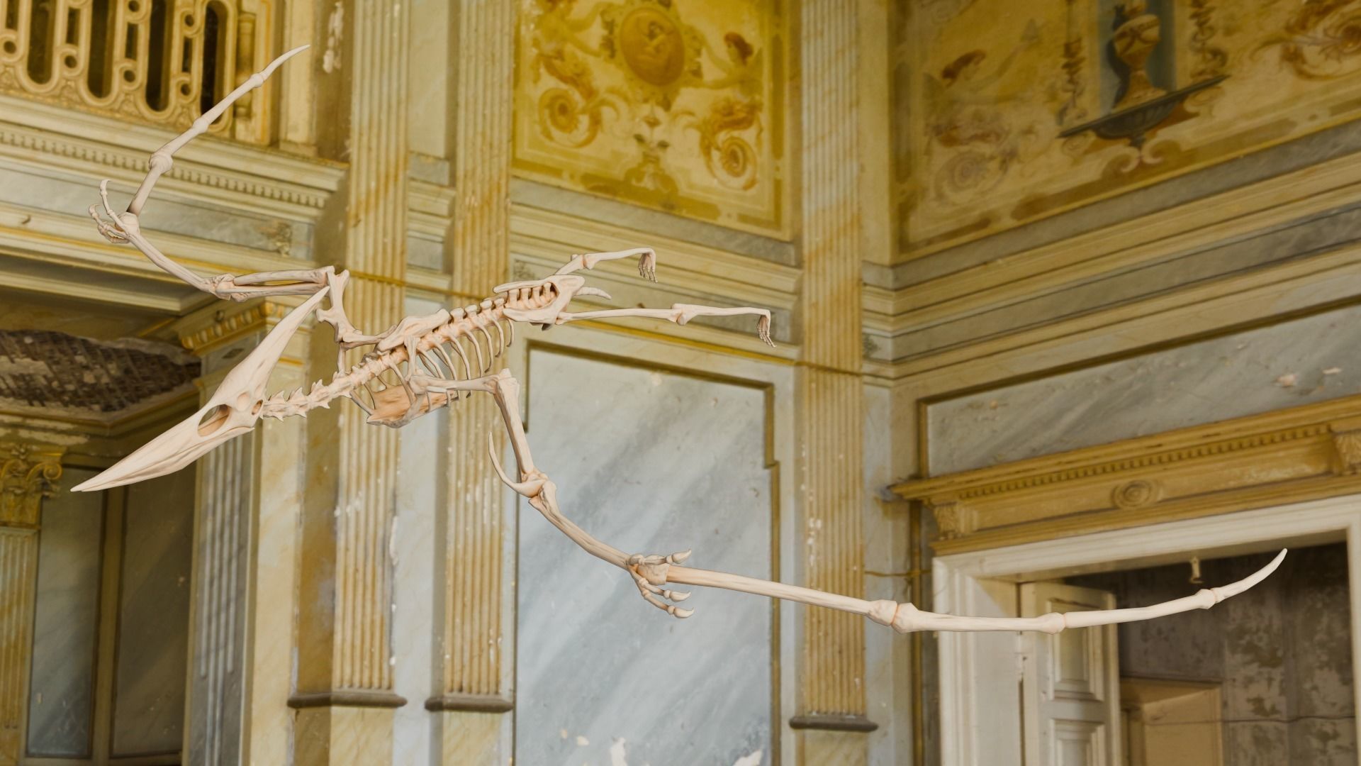 Realistic Ancient Reptilians Fossil Low-poly 3D model_46