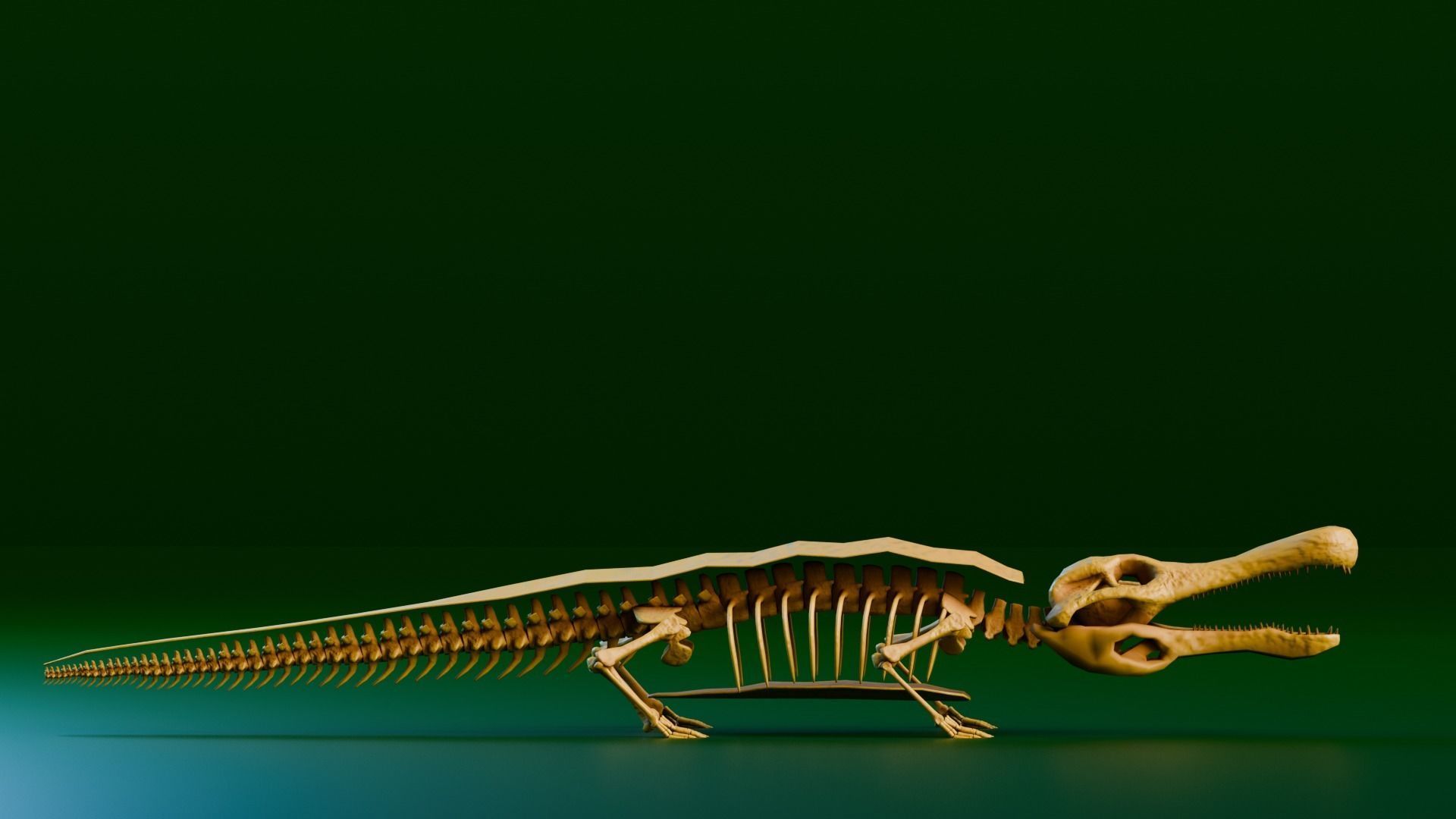 Realistic Ancient Reptilians Fossil Low-poly 3D model_17
