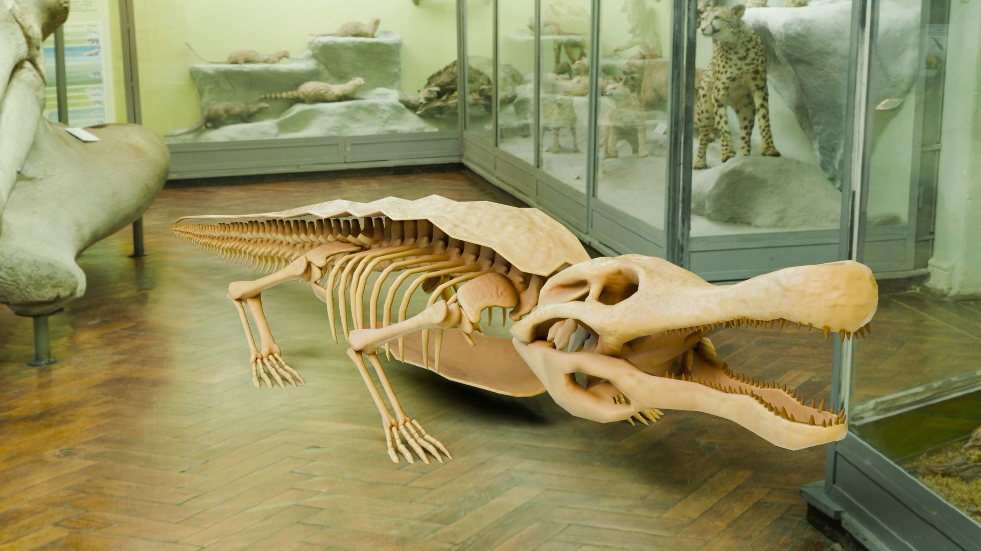 Realistic Ancient Reptilians Fossil Low-poly 3D model_47