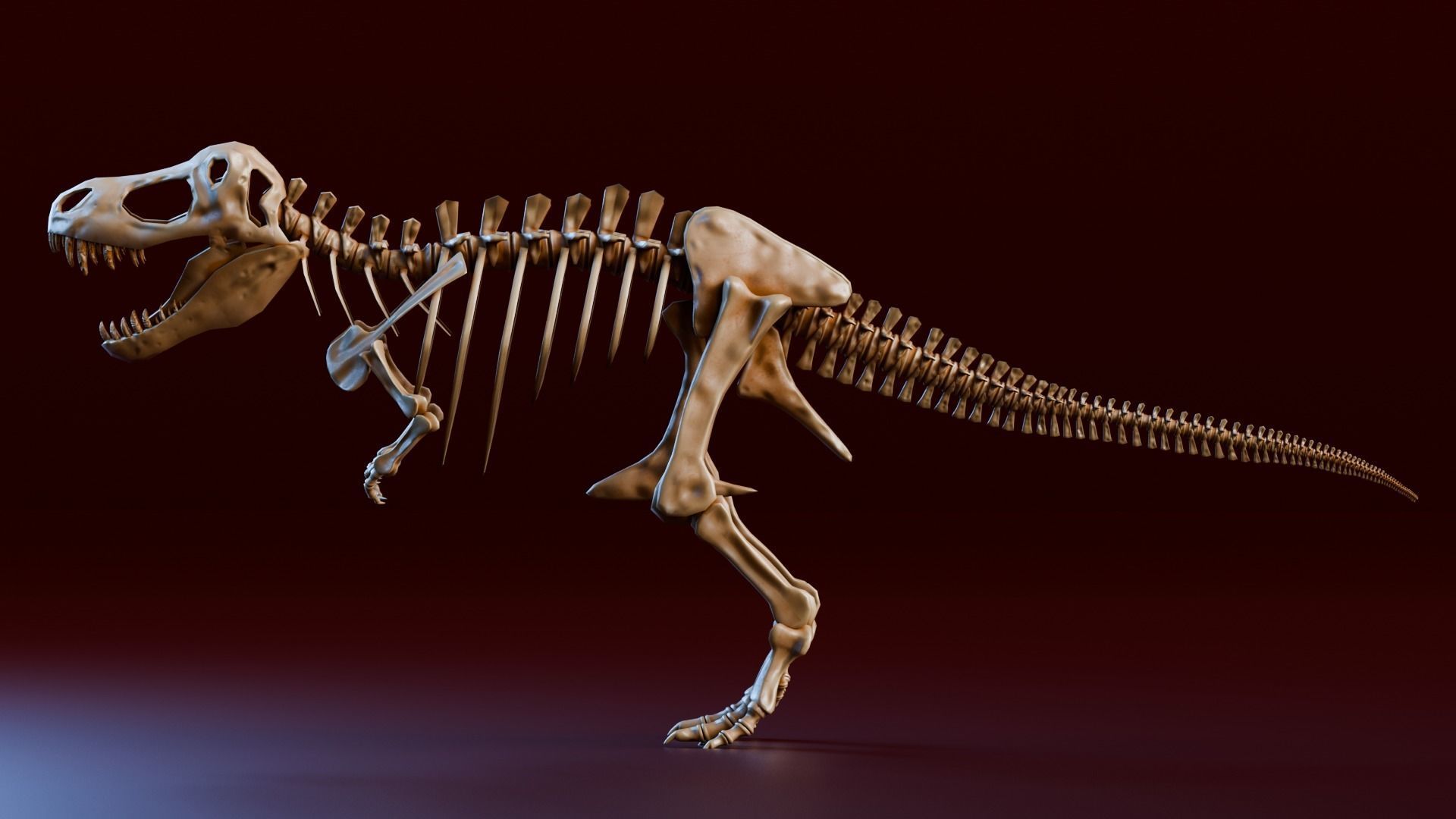Realistic Ancient Reptilians Fossil Low-poly 3D model_20