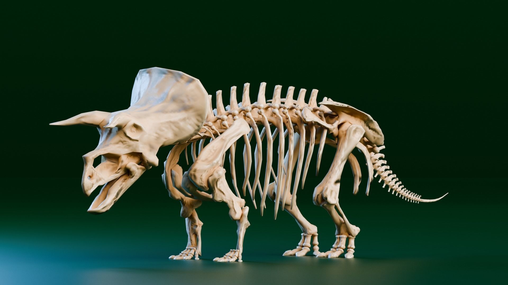 Realistic Ancient Reptilians Fossil Low-poly 3D model_9