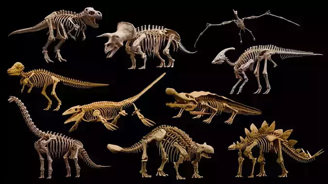 Realistic Ancient Reptilians Fossil Low-poly 3D model