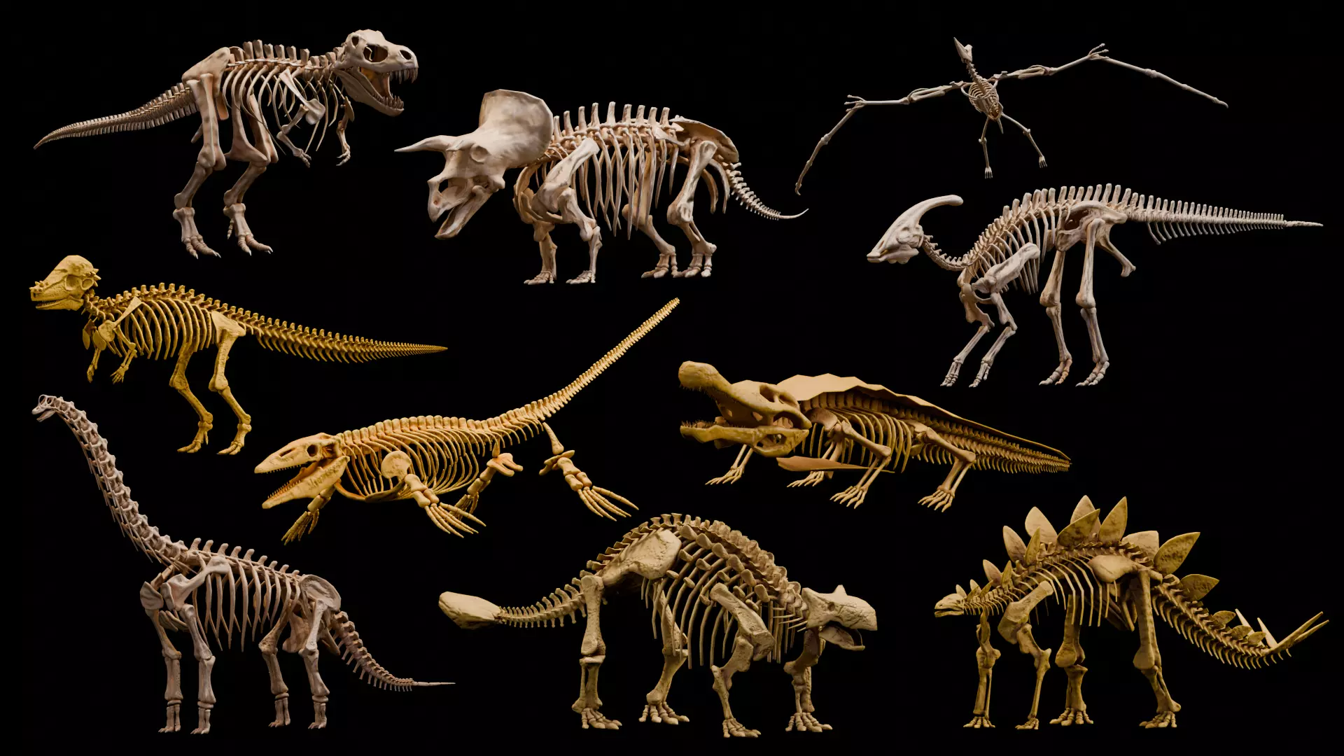 Realistic Ancient Reptilians Fossil Low-poly 3D model_0