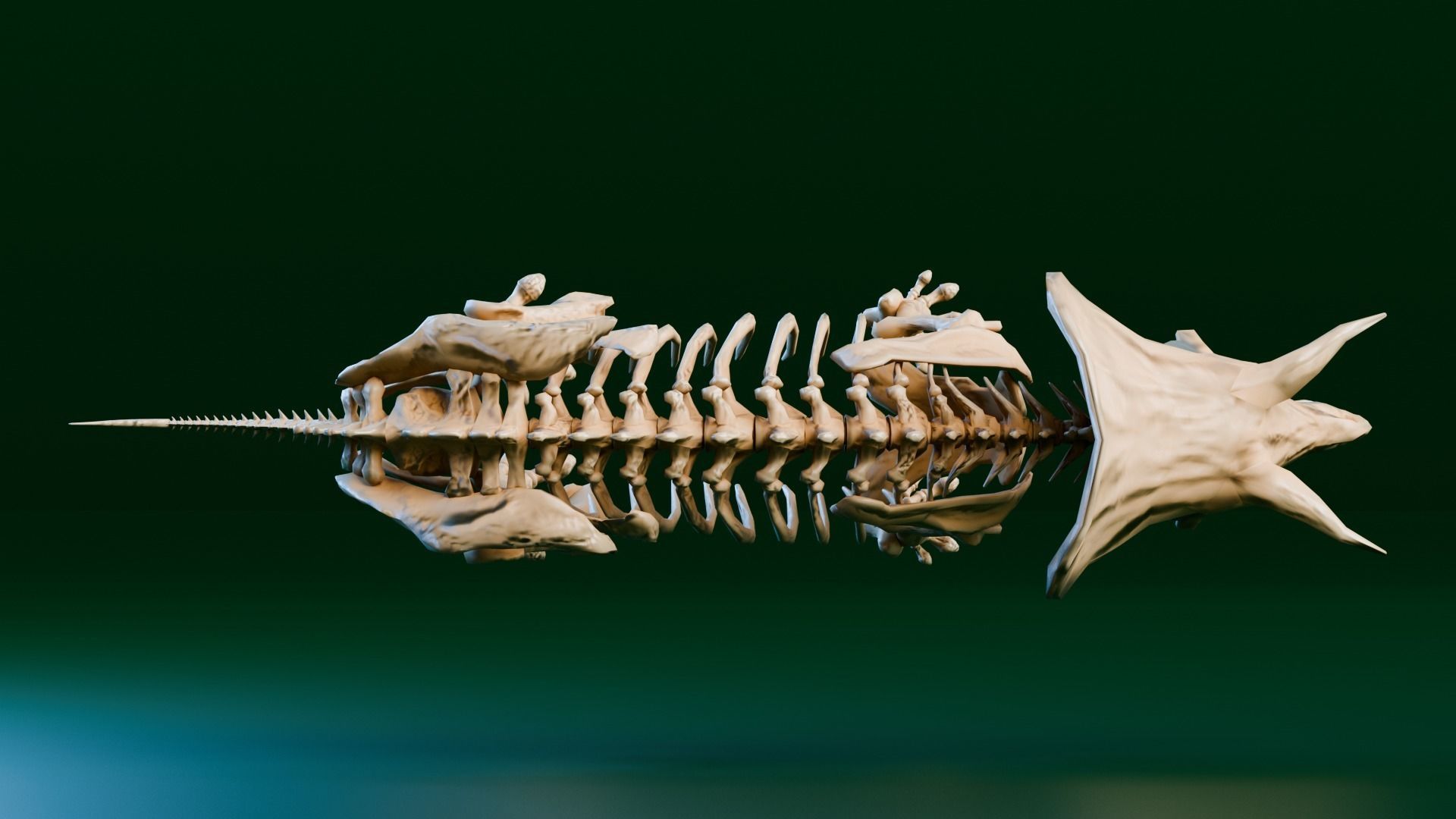 Realistic Ancient Reptilians Fossil Low-poly 3D model_29