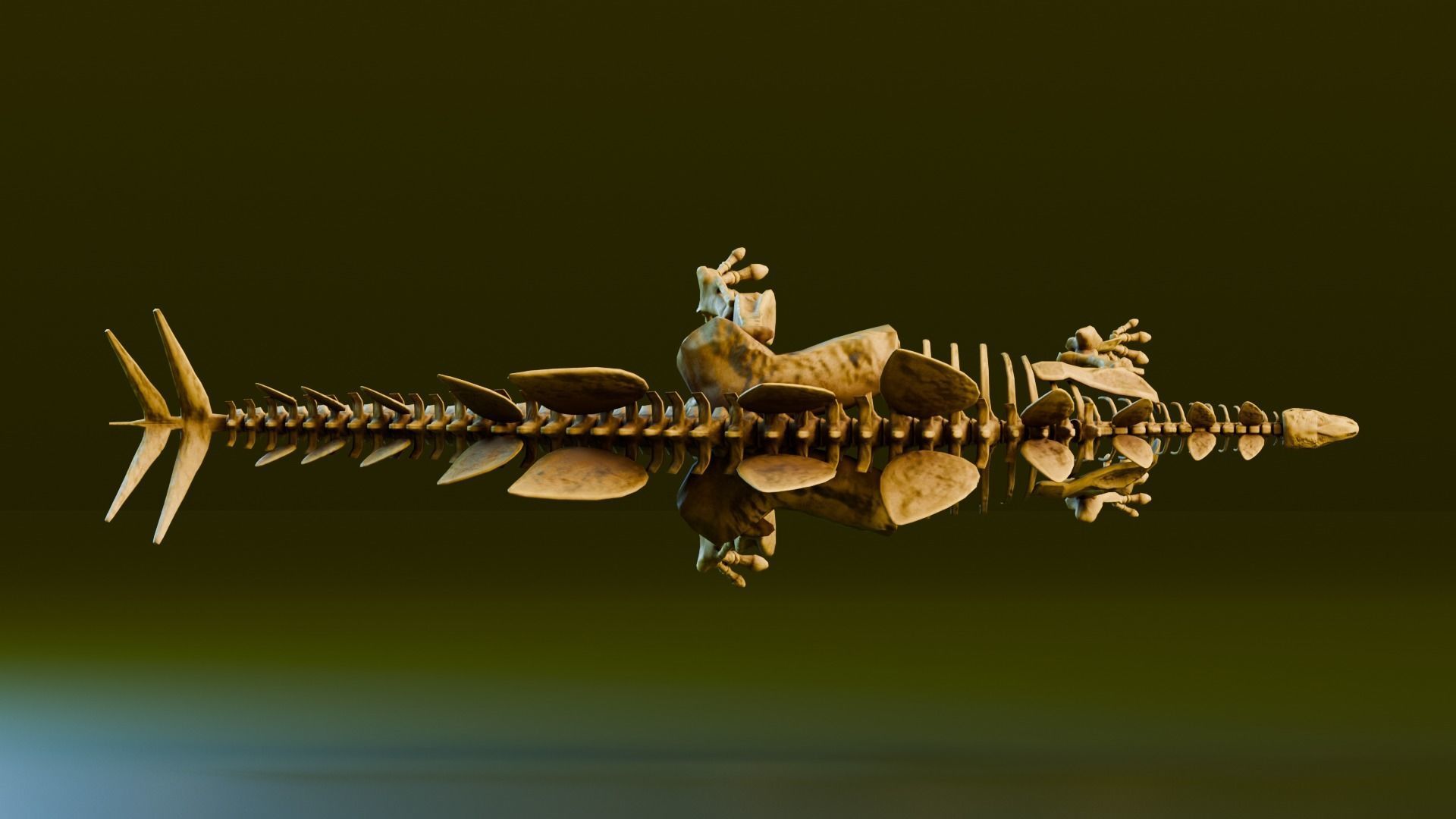 Realistic Ancient Reptilians Fossil Low-poly 3D model_28