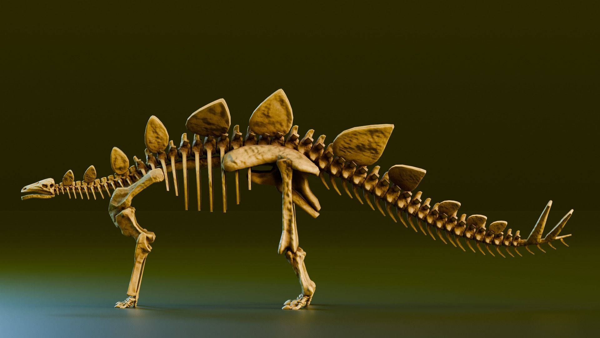 Realistic Ancient Reptilians Fossil Low-poly 3D model_18