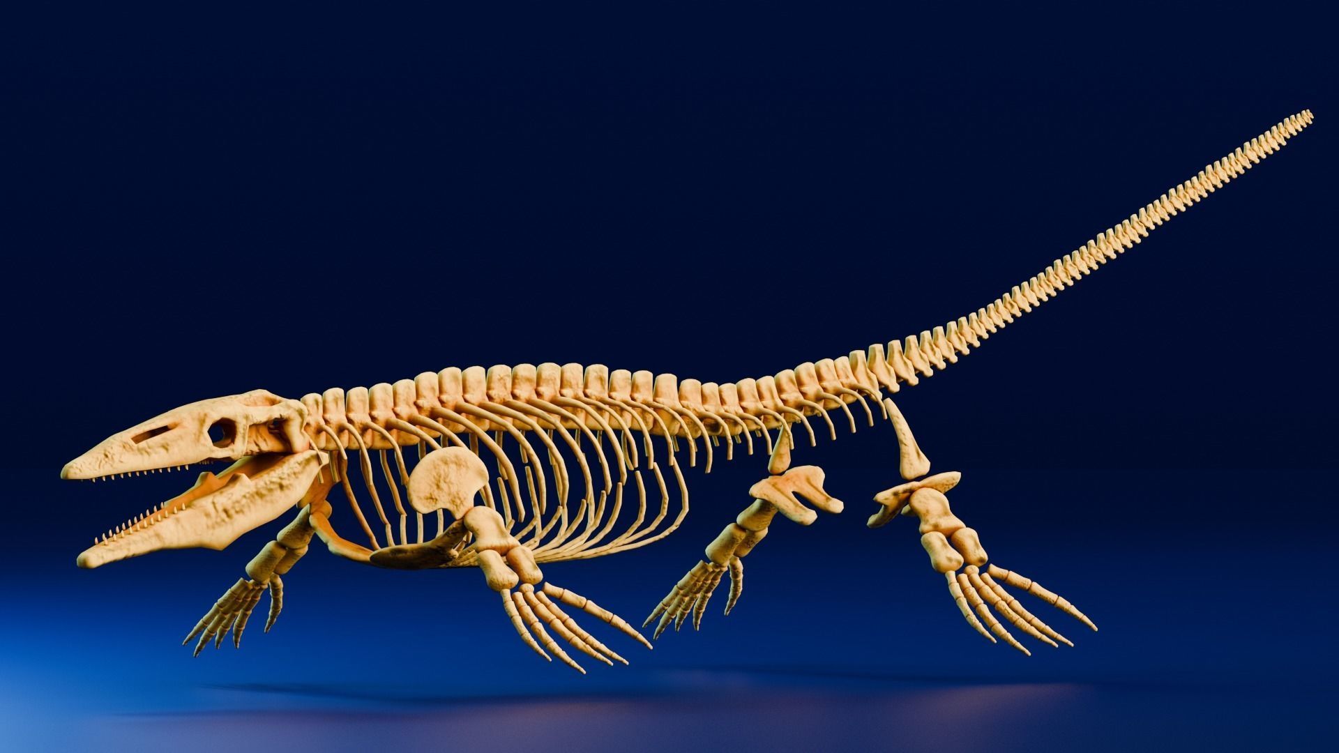 Realistic Ancient Reptilians Fossil Low-poly 3D model_3