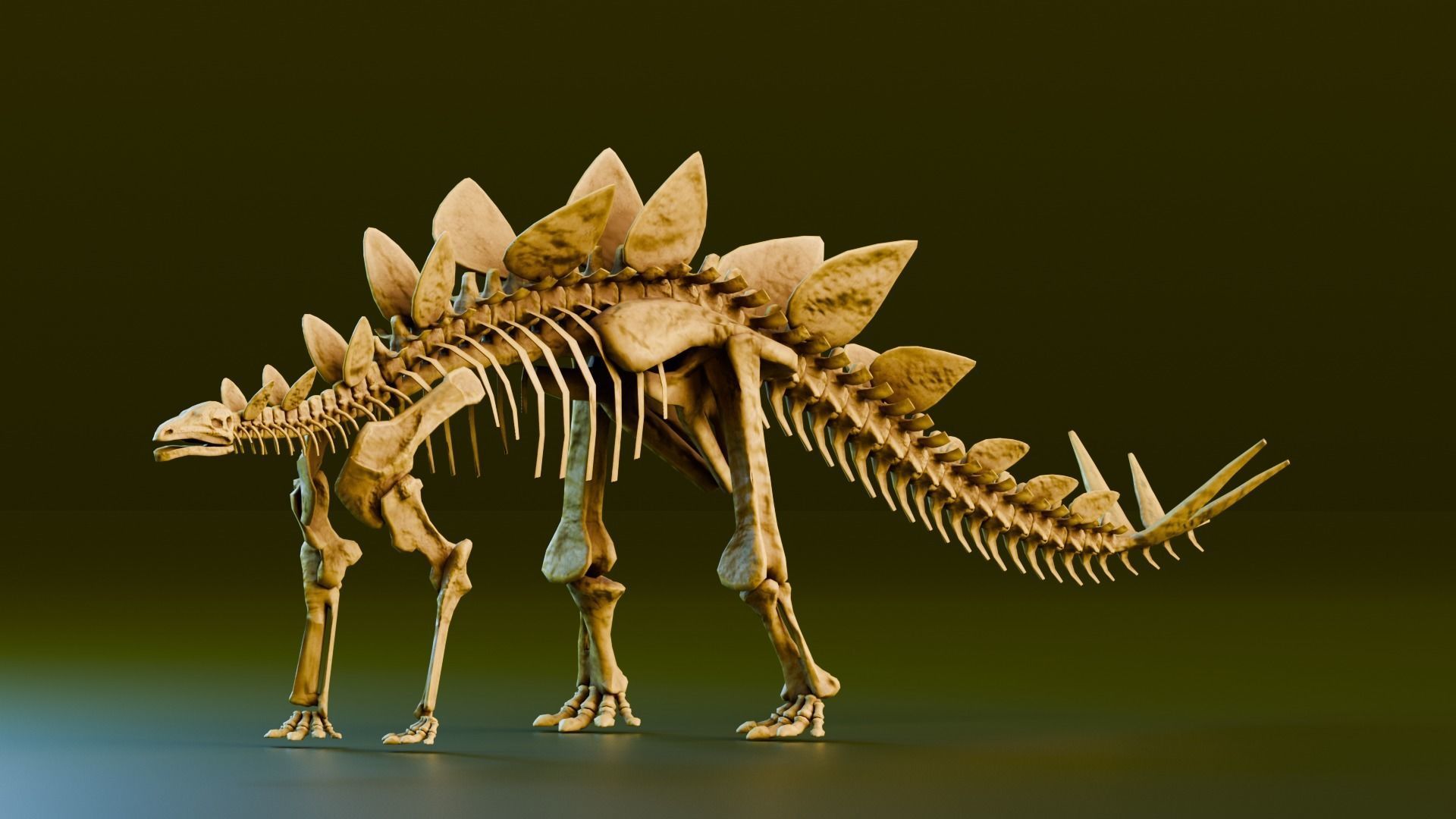 Realistic Ancient Reptilians Fossil Low-poly 3D model_8
