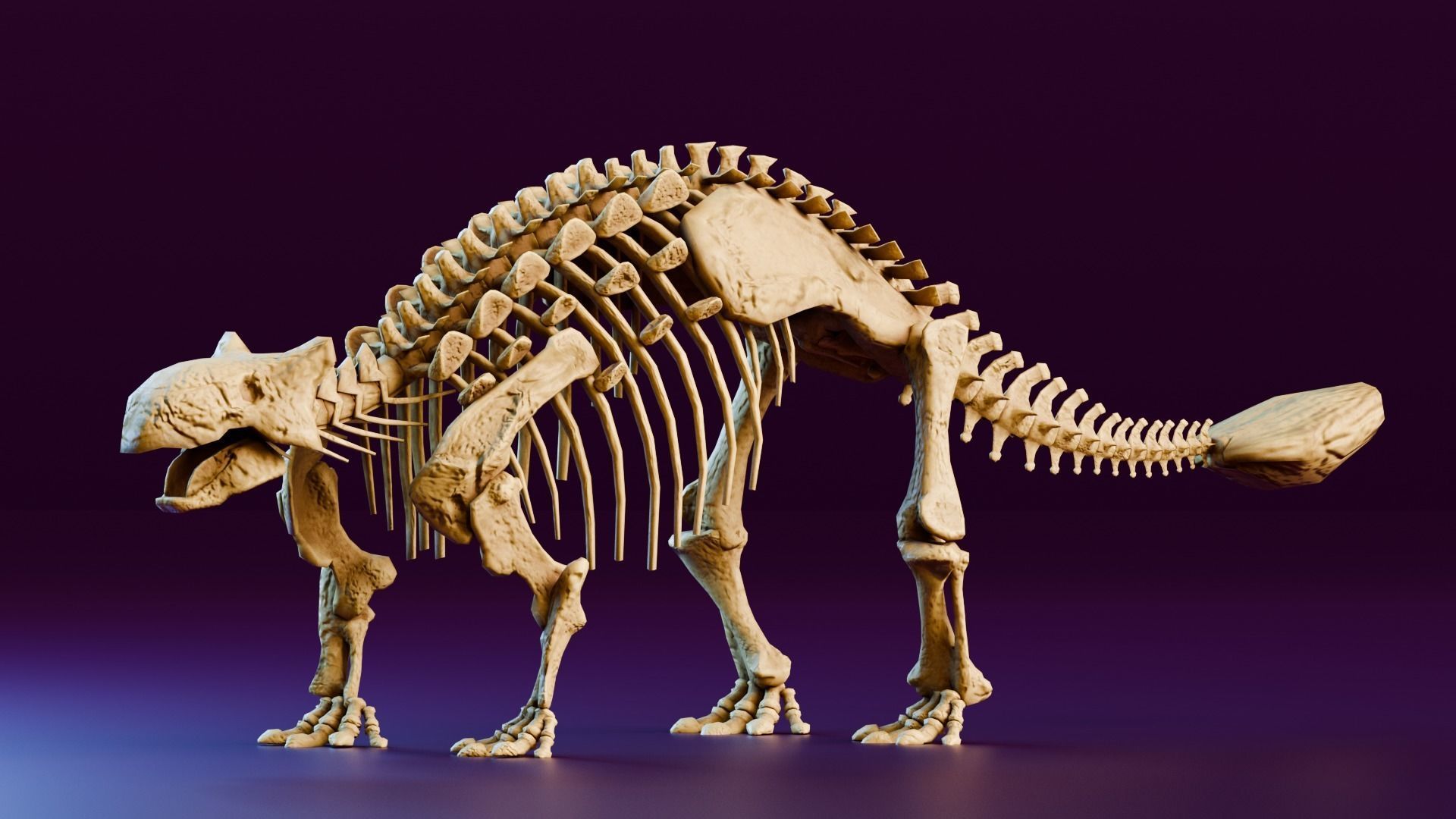 Realistic Ancient Reptilians Fossil Low-poly 3D model_1