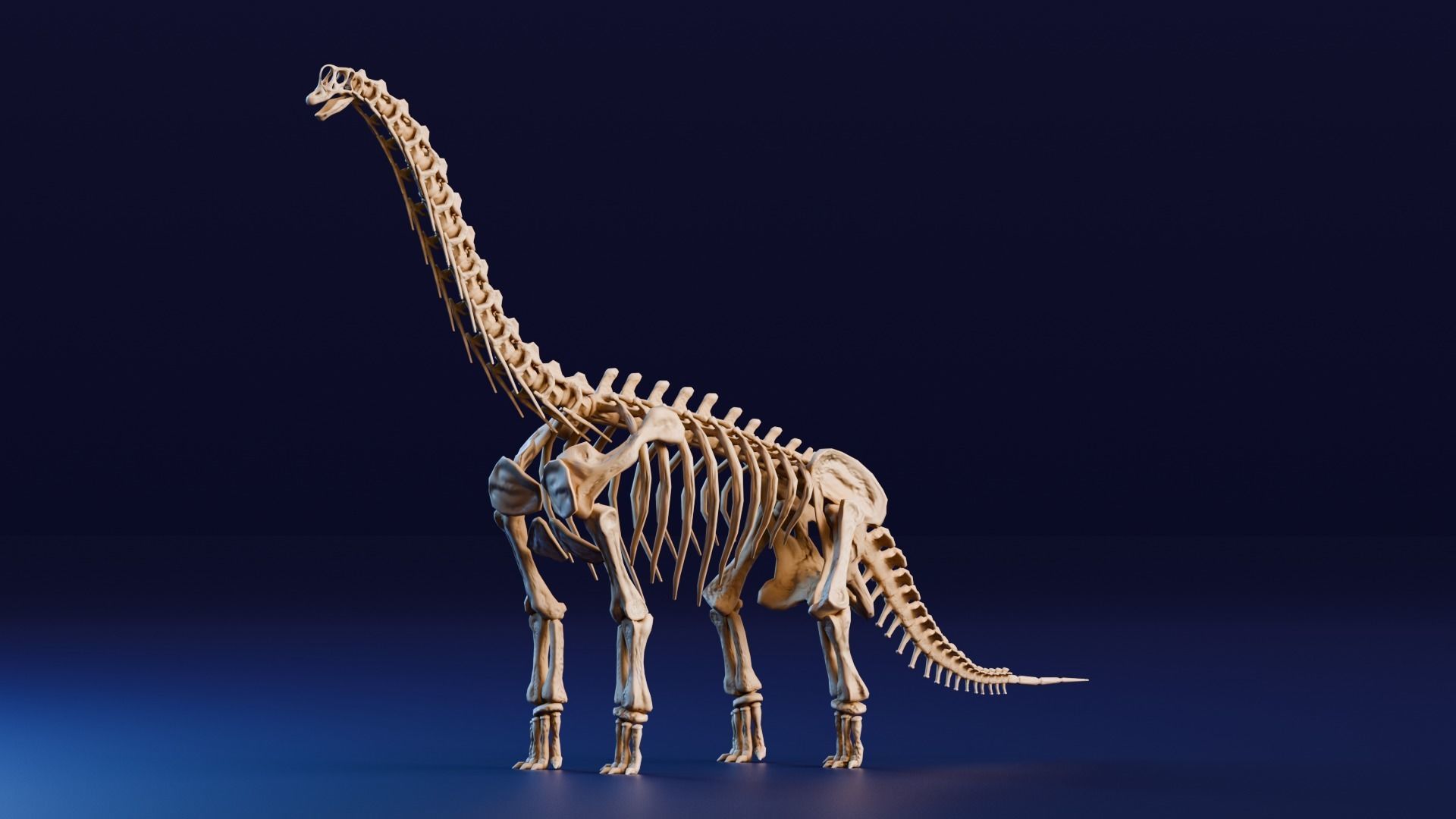 Realistic Ancient Reptilians Fossil Low-poly 3D model_2