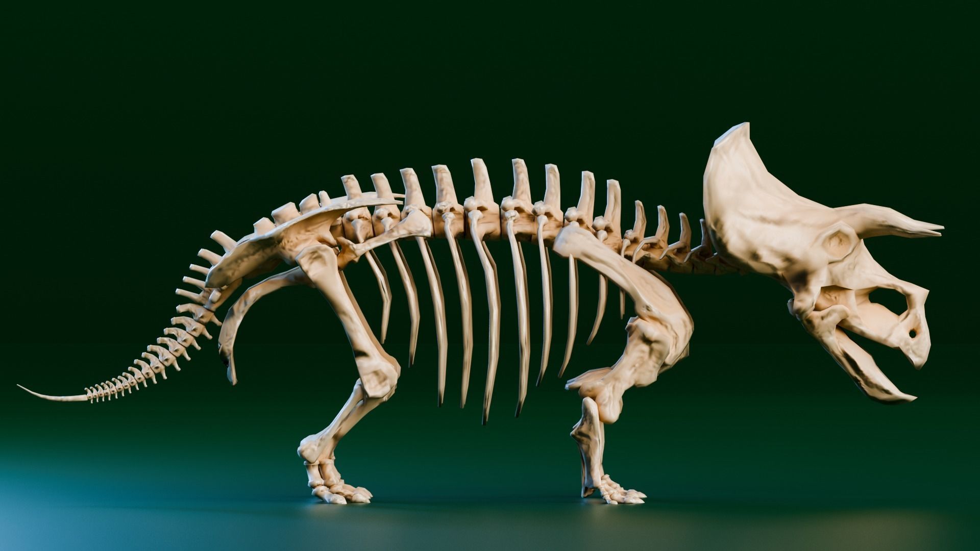 Realistic Ancient Reptilians Fossil Low-poly 3D model_19