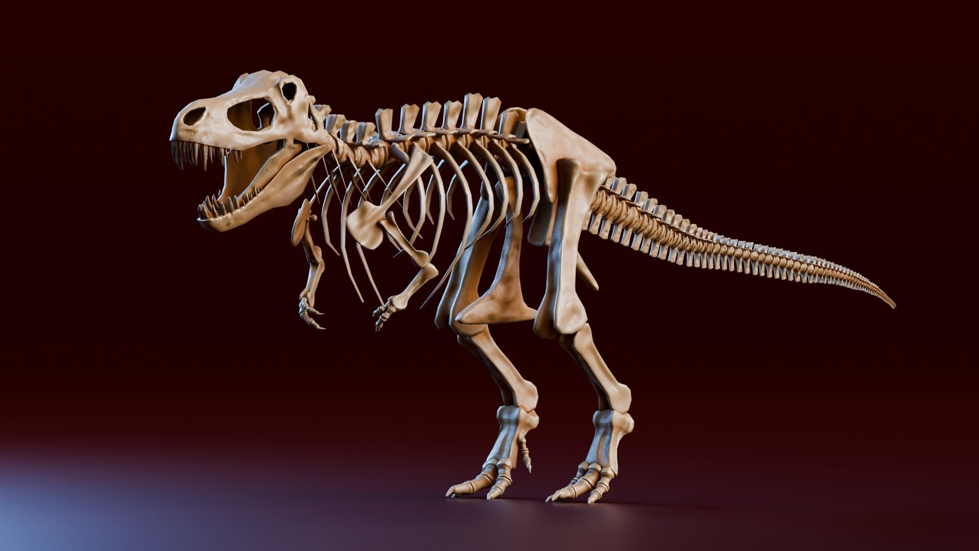 Realistic Ancient Reptilians Fossil Low-poly 3D model_10