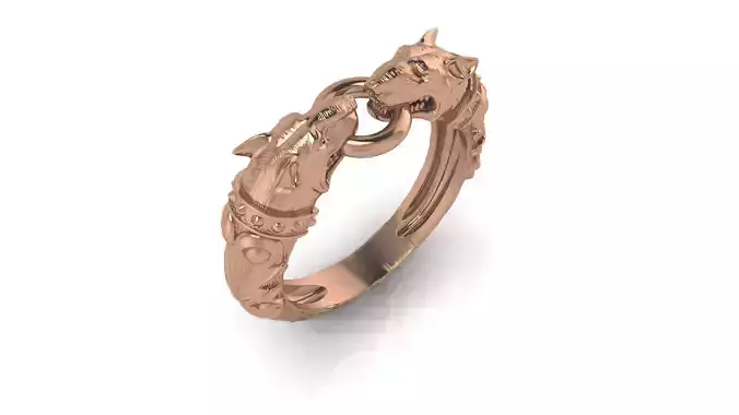 Bull Terrier Dog Ring