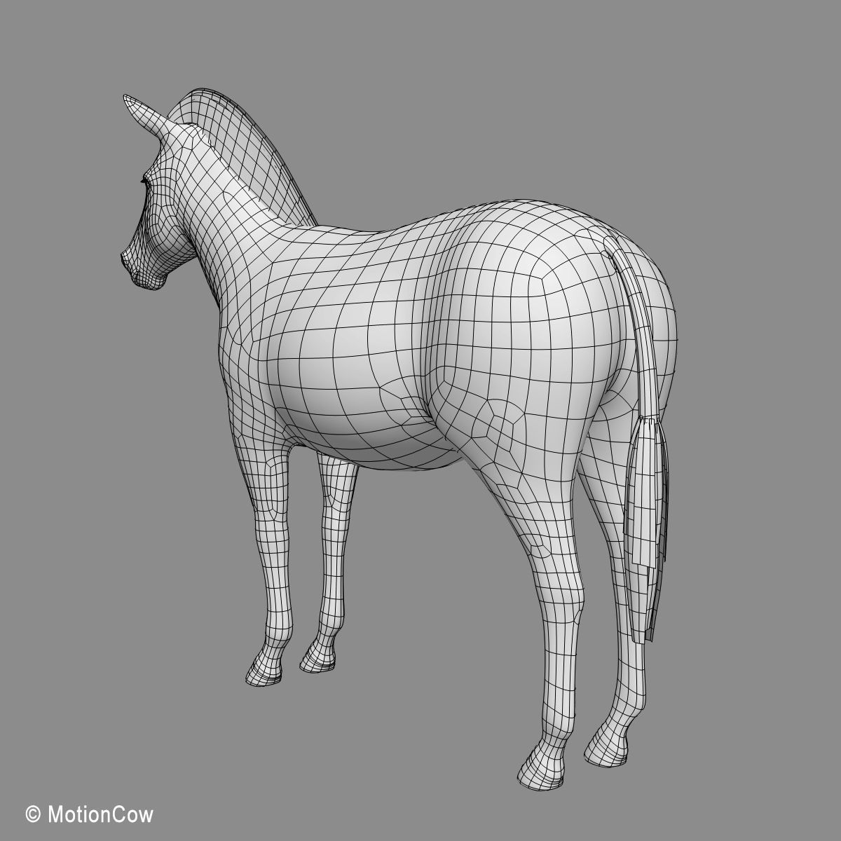 Zebra 3D model_14