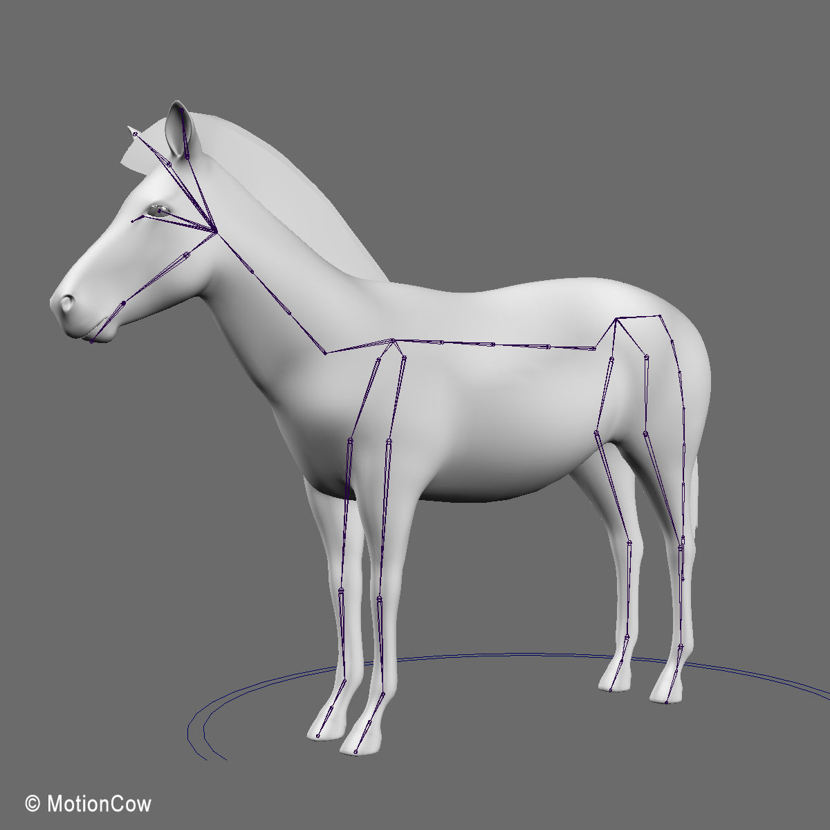 Zebra 3D model_12
