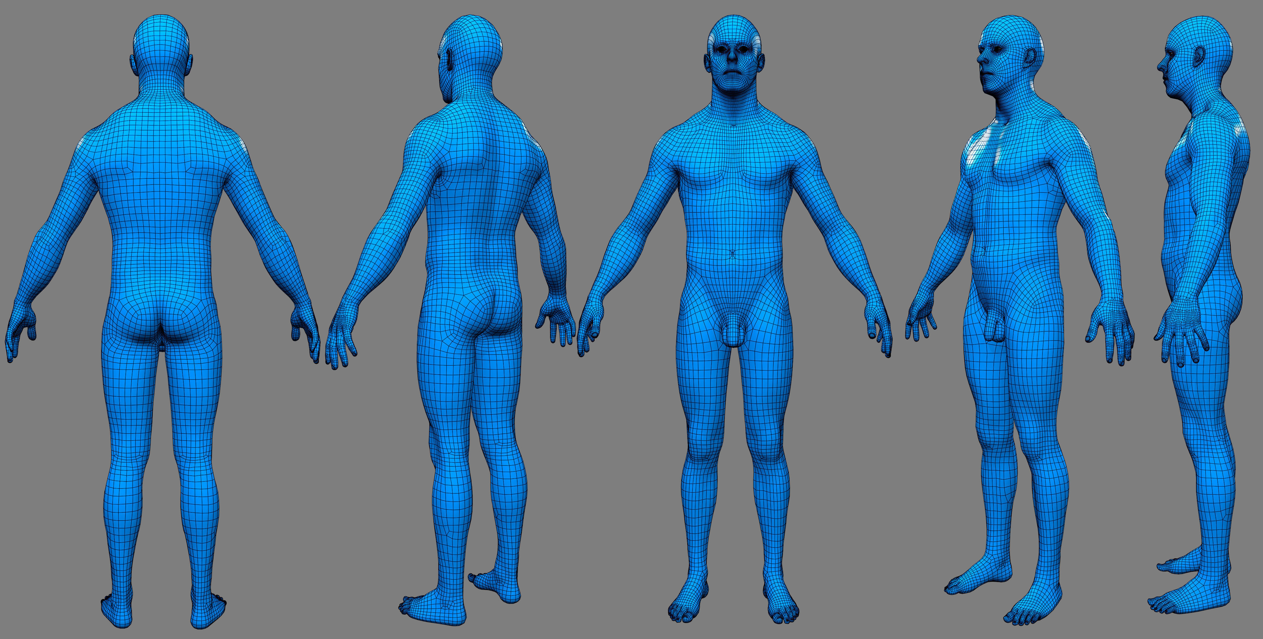 BaseMeshes 3D model_3