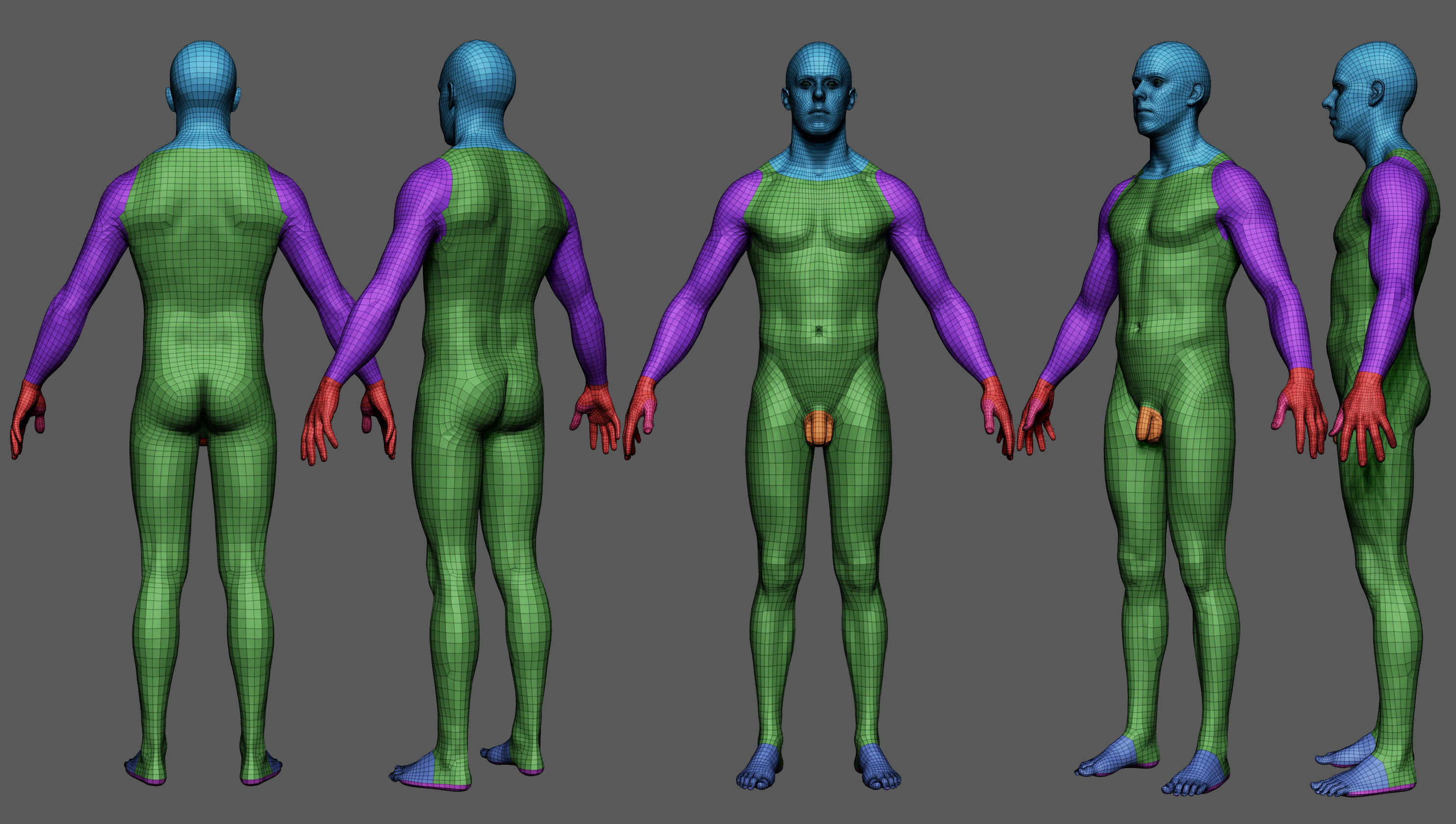 BaseMeshes 3D model_2