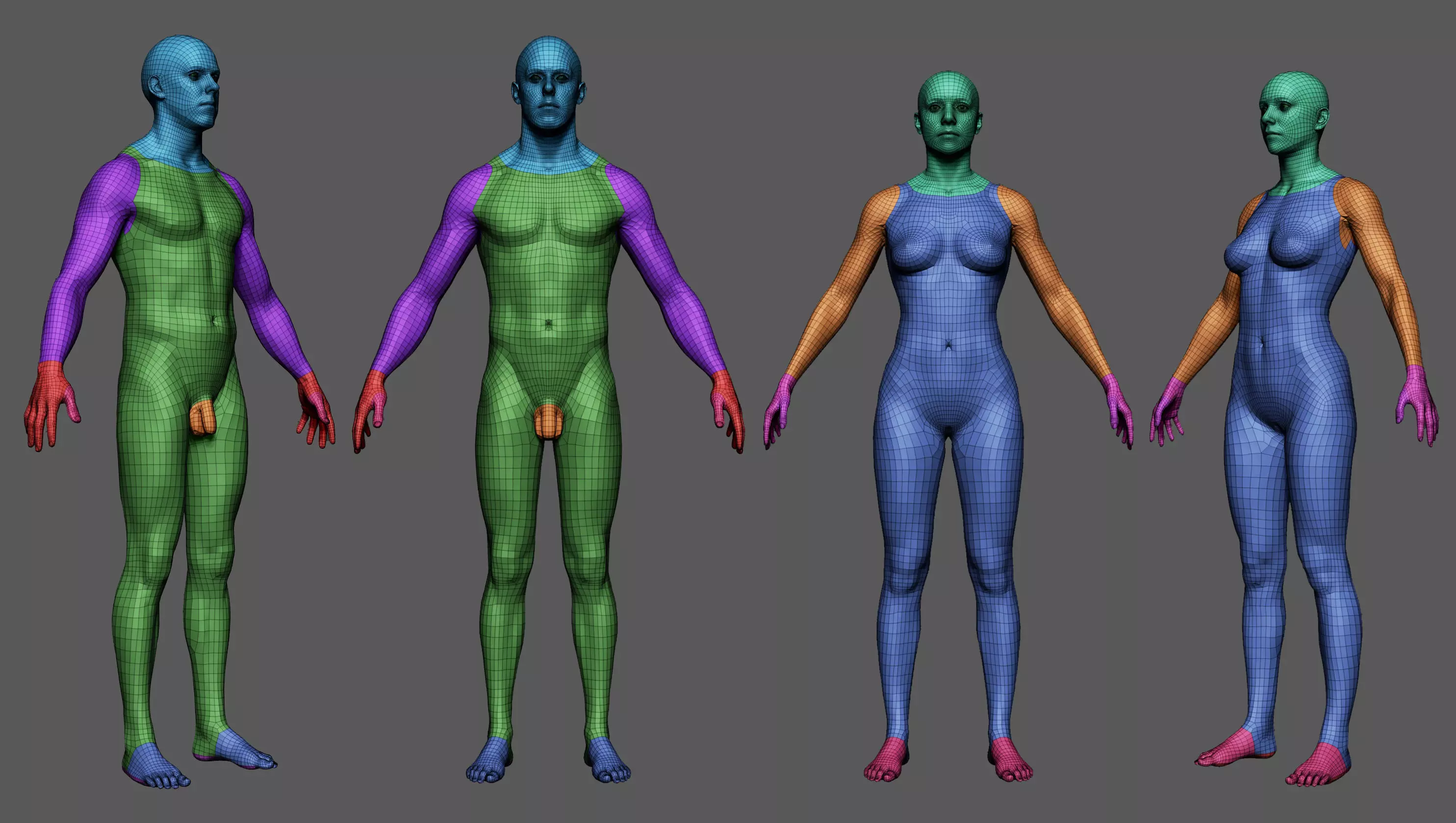 BaseMeshes 3D model_0