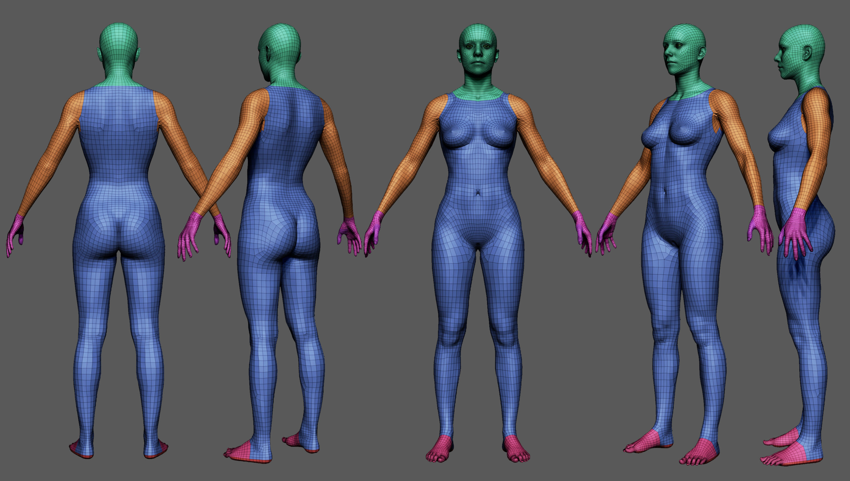 BaseMeshes 3D model_5