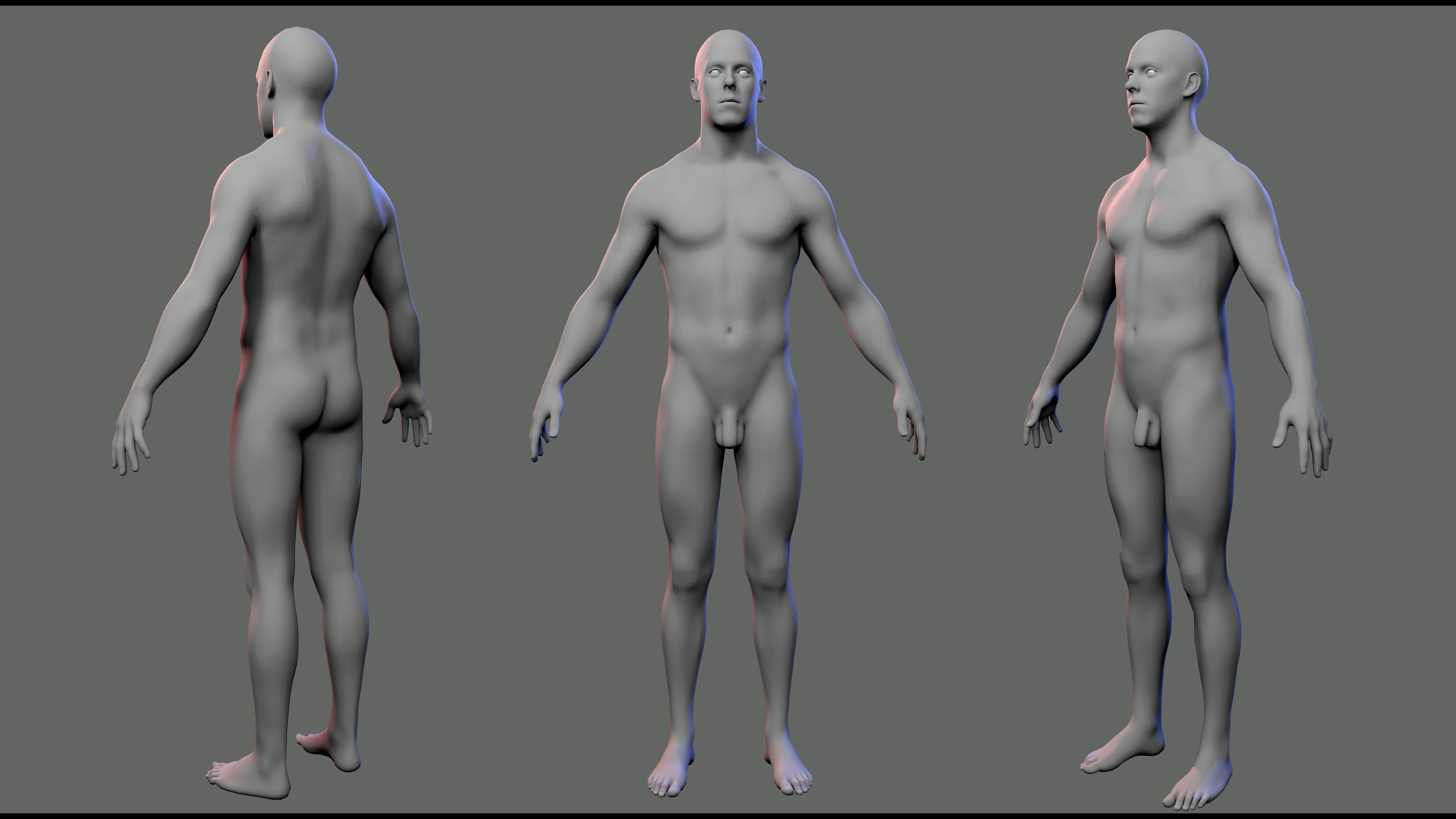 BaseMeshes 3D model_1