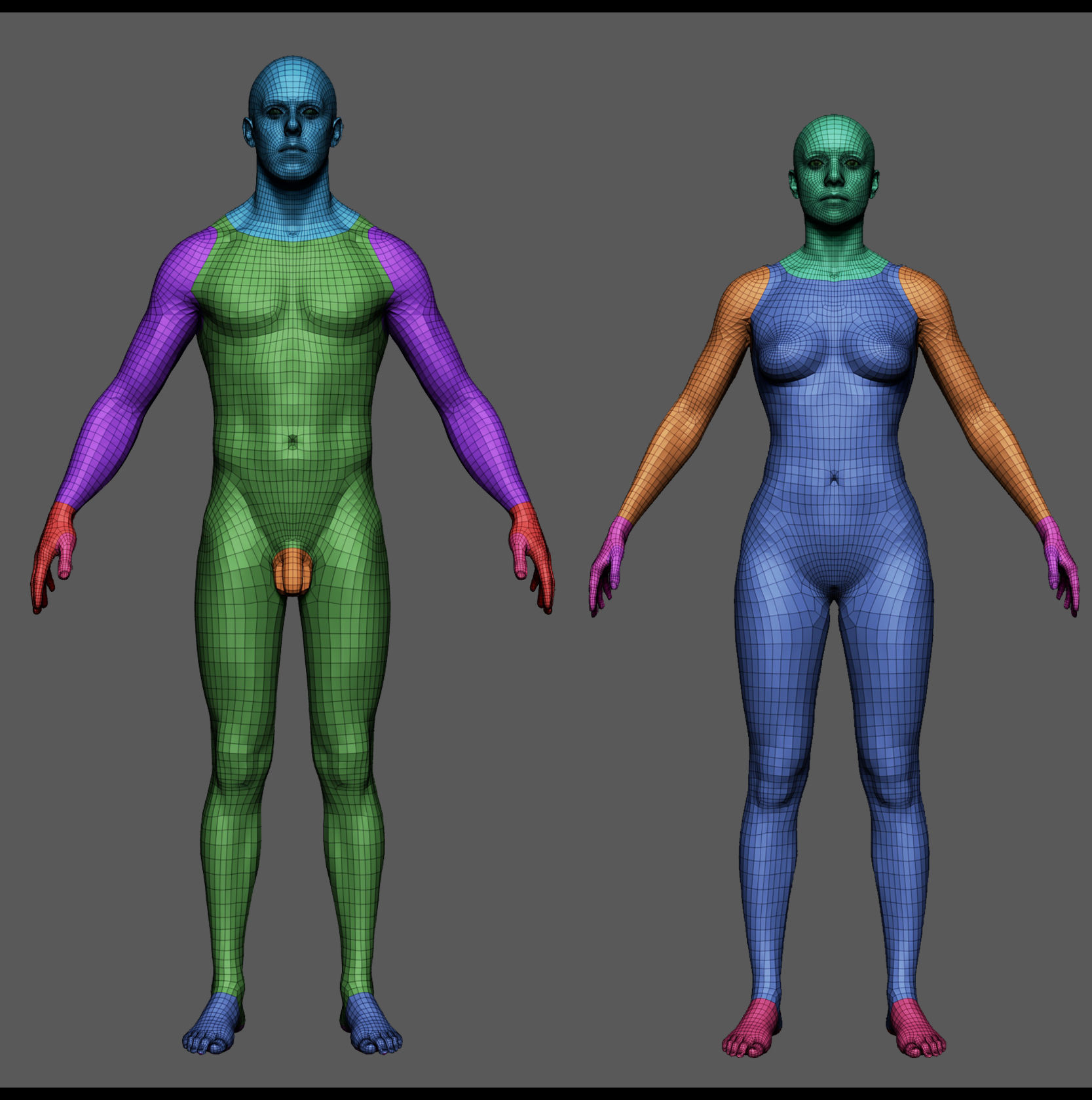 BaseMeshes 3D model_11