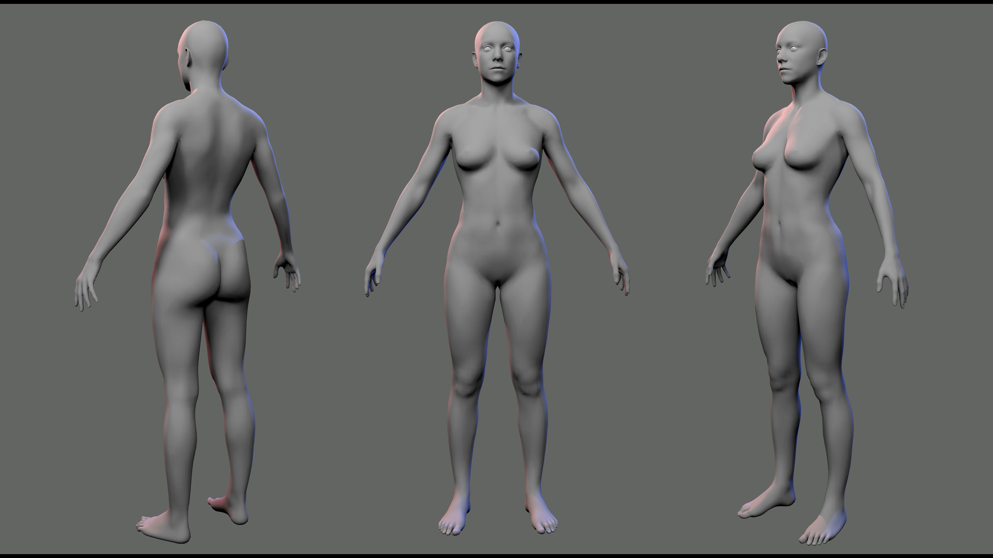 BaseMeshes 3D model_4