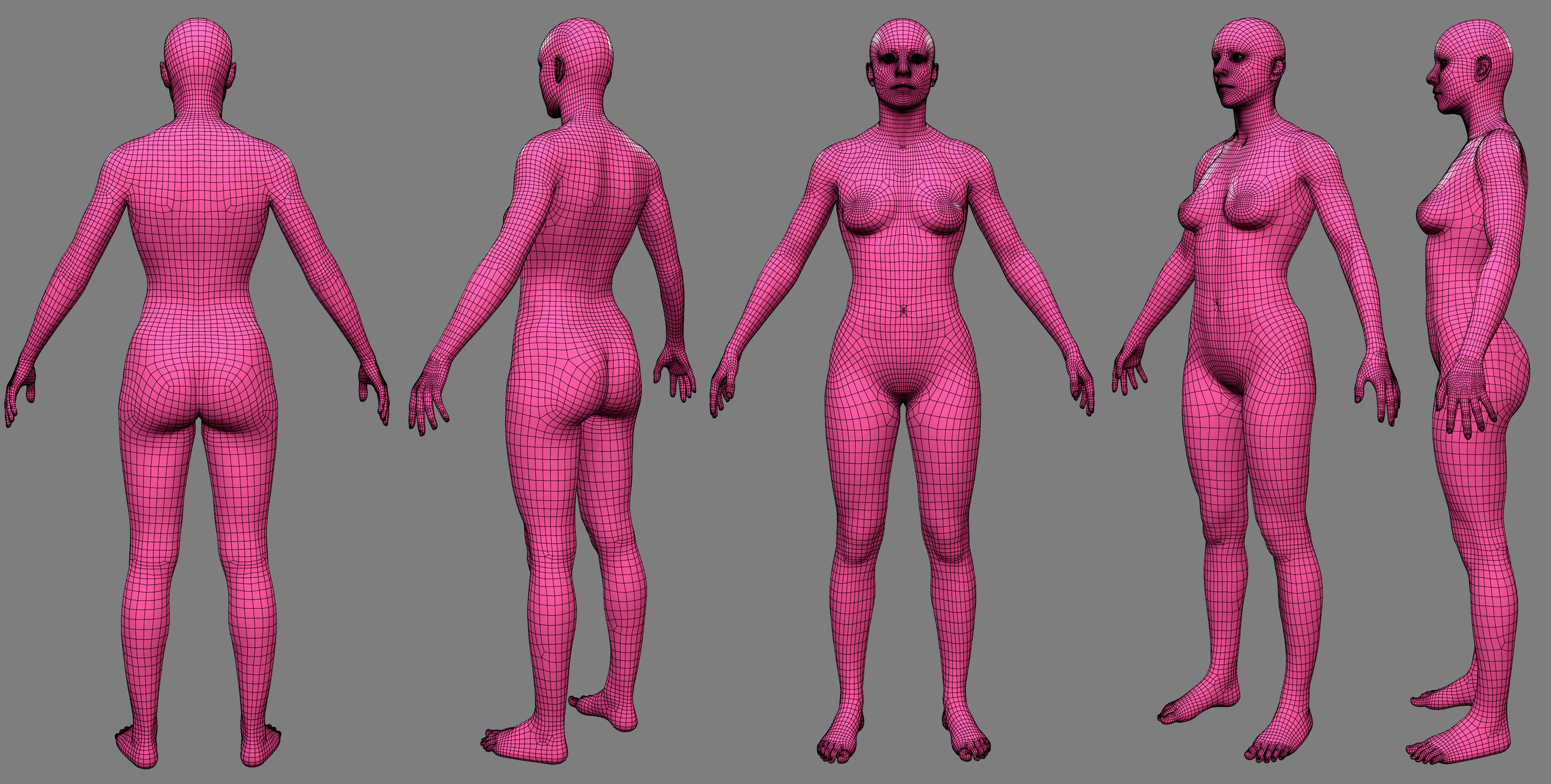 BaseMeshes 3D model_6