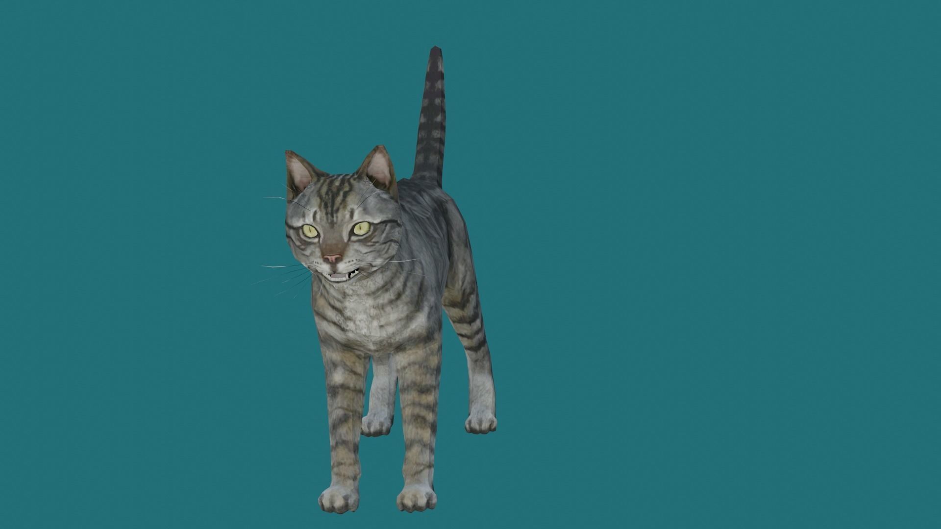 cat lowpoly 3d model 3D model_5