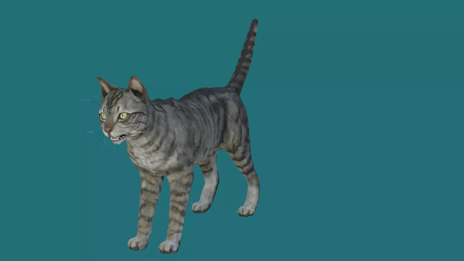 cat lowpoly 3d model 3D model_0