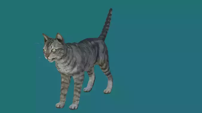 cat lowpoly 3d model