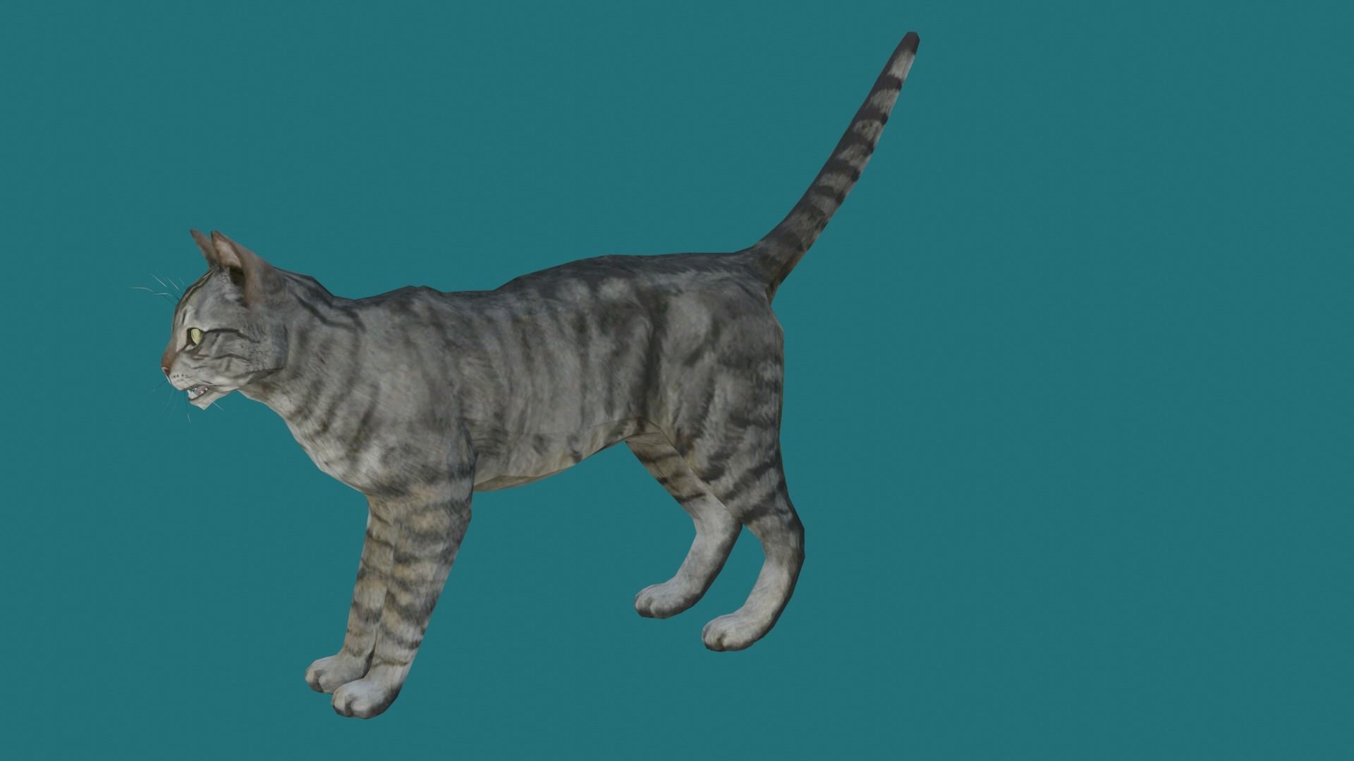 cat lowpoly 3d model 3D model_4