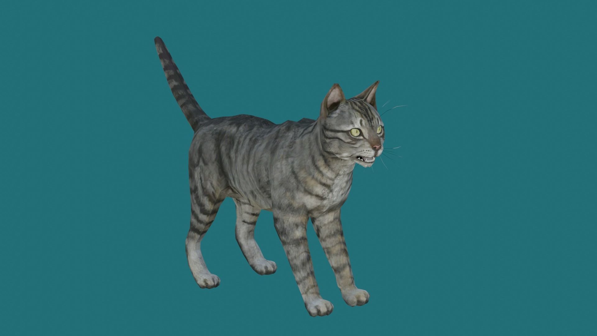 cat lowpoly 3d model 3D model_1