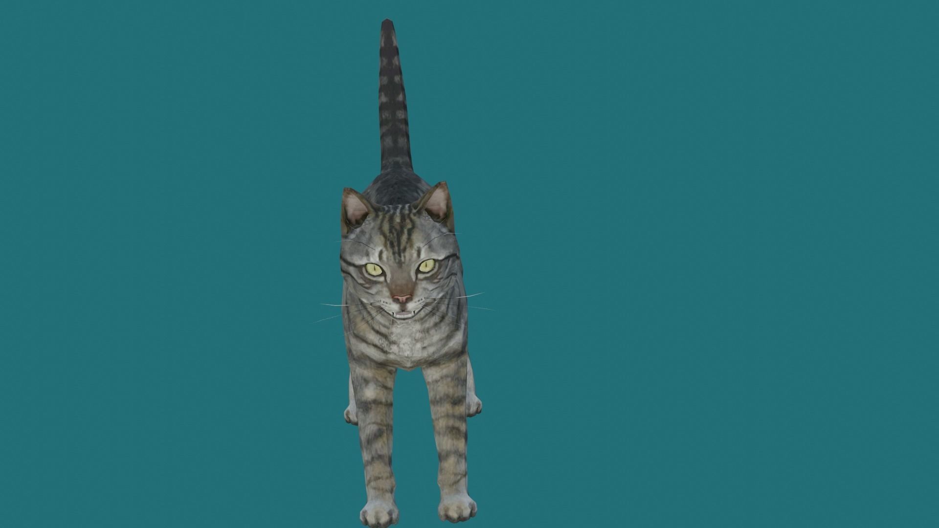 cat lowpoly 3d model 3D model_6