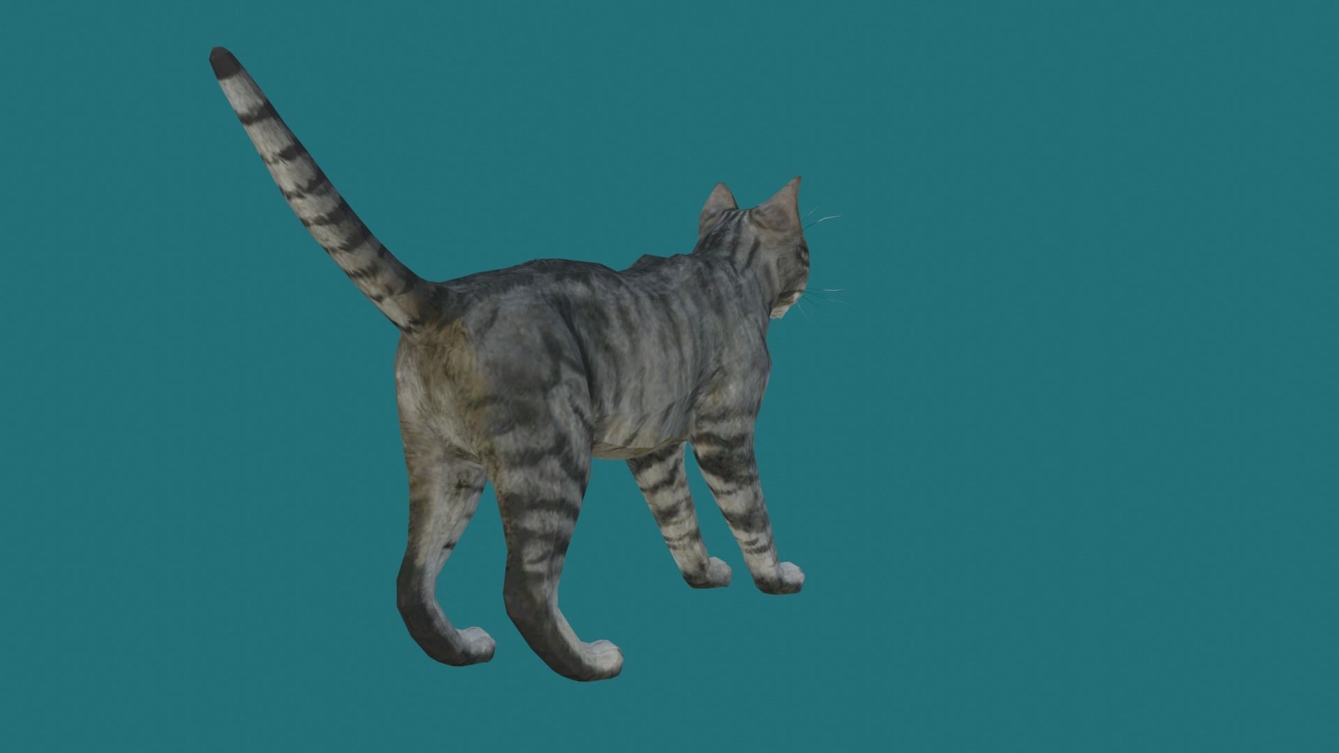 cat lowpoly 3d model 3D model_3