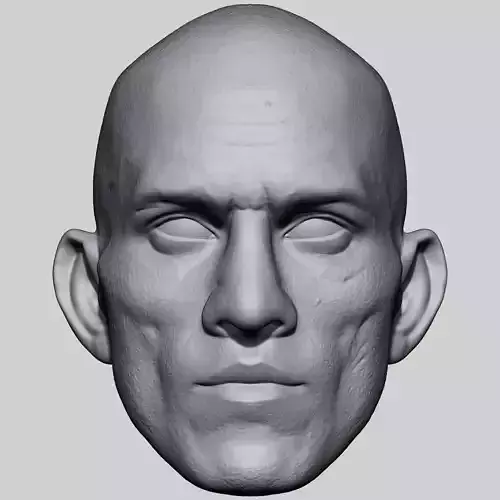 POATAN - HEAD CUSTOM  3D print model