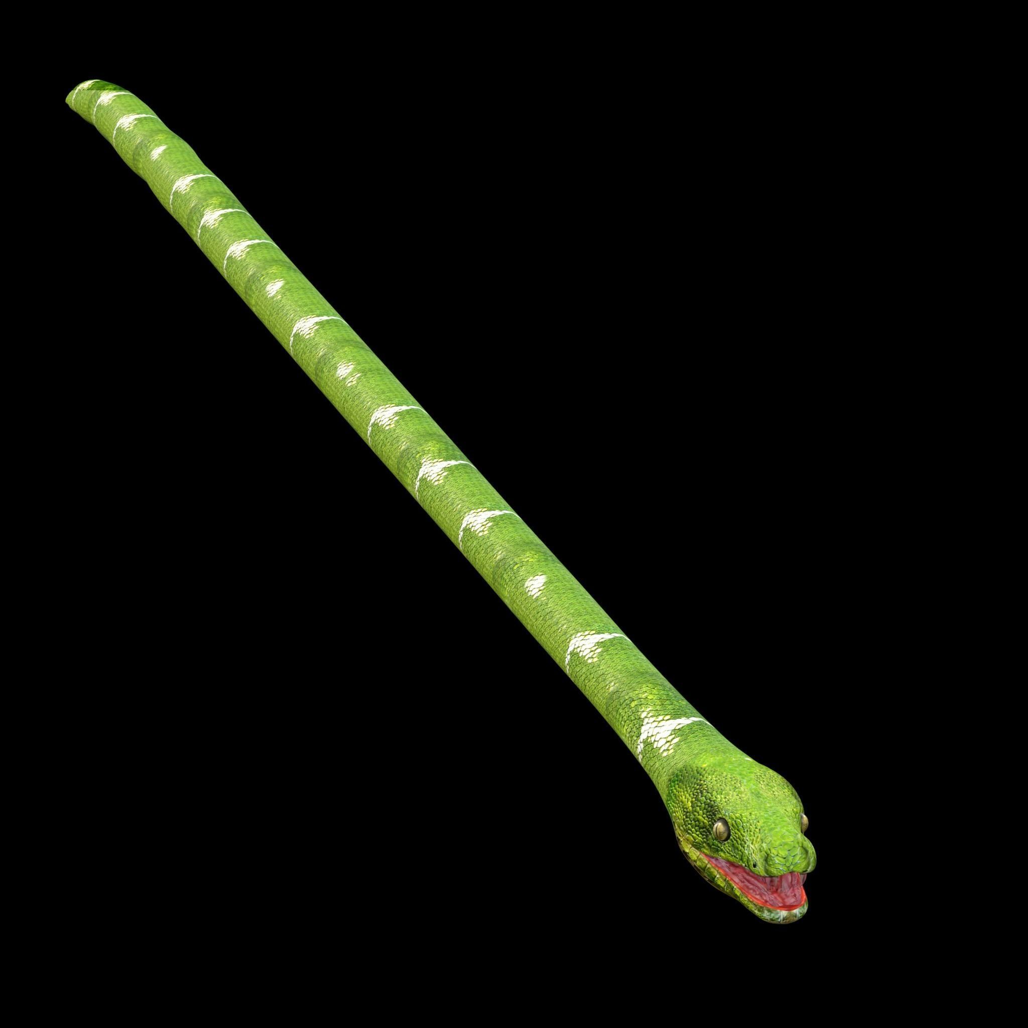 Green Snake Rig 3D model_1