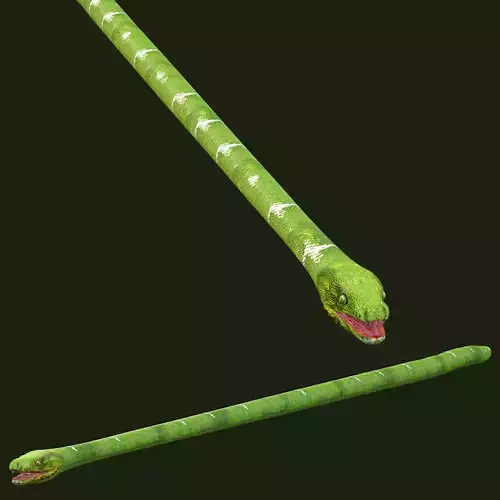 Green Snake Rig 3D model