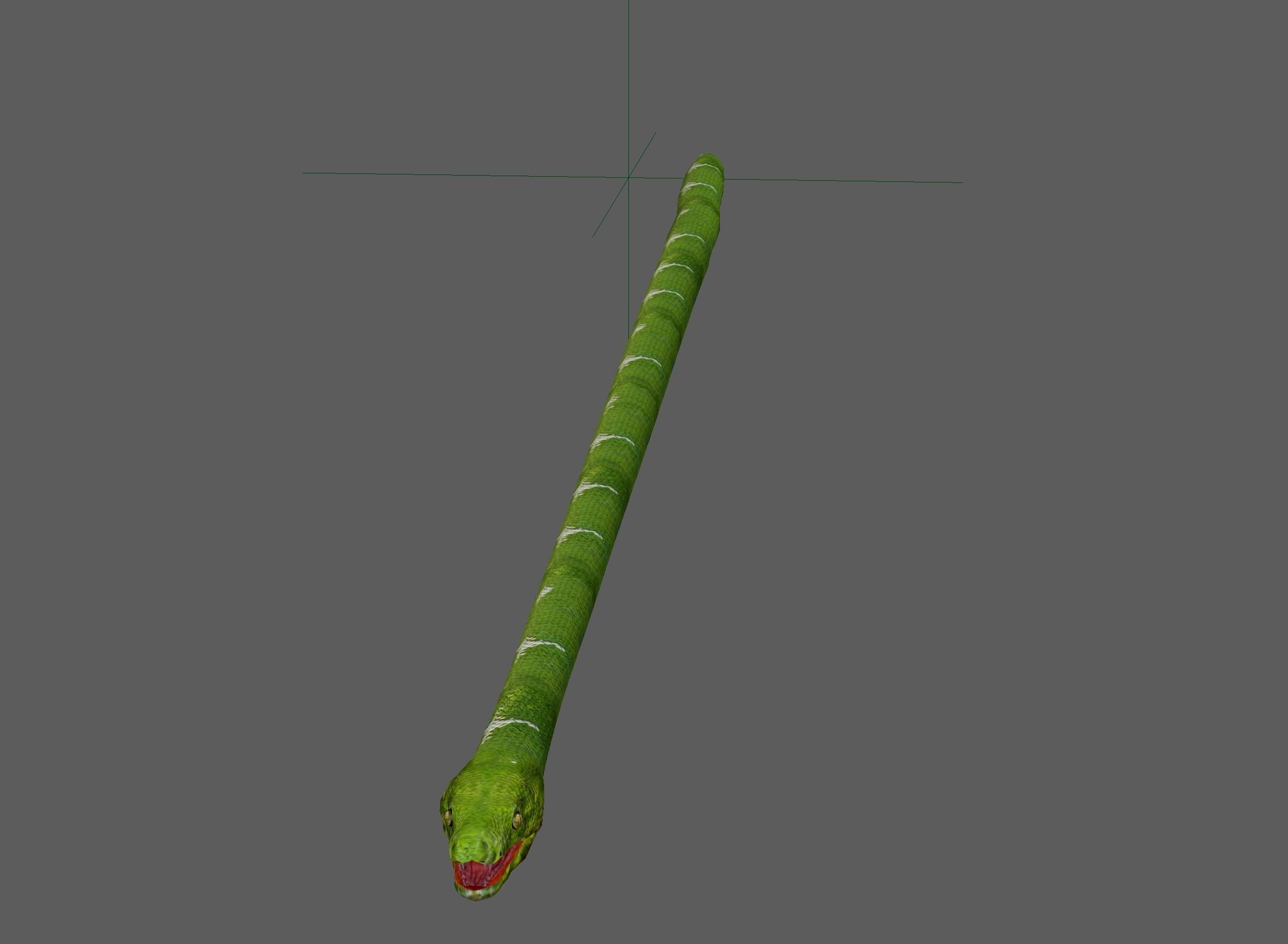 Green Snake Rig 3D model_11