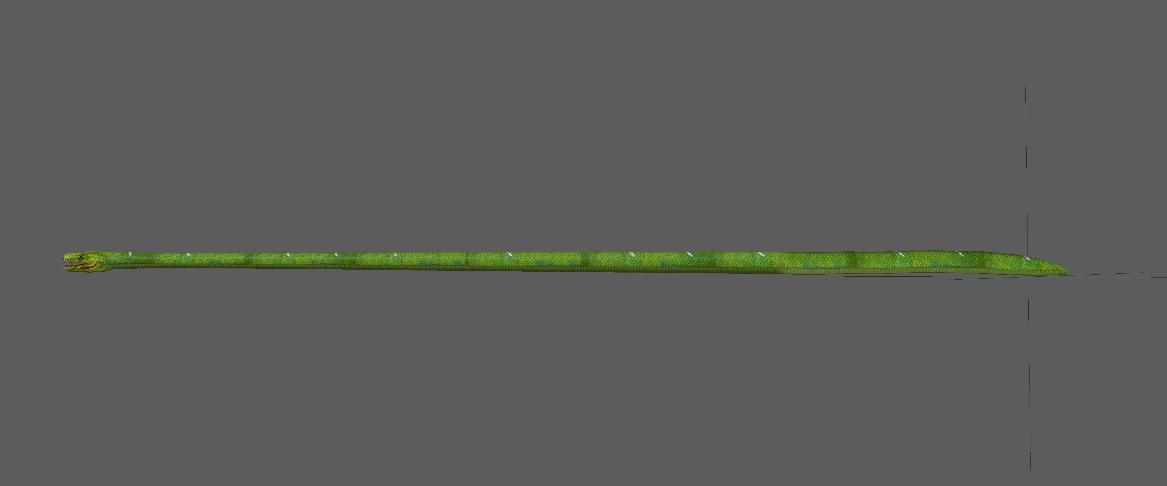Green Snake Rig 3D model_21
