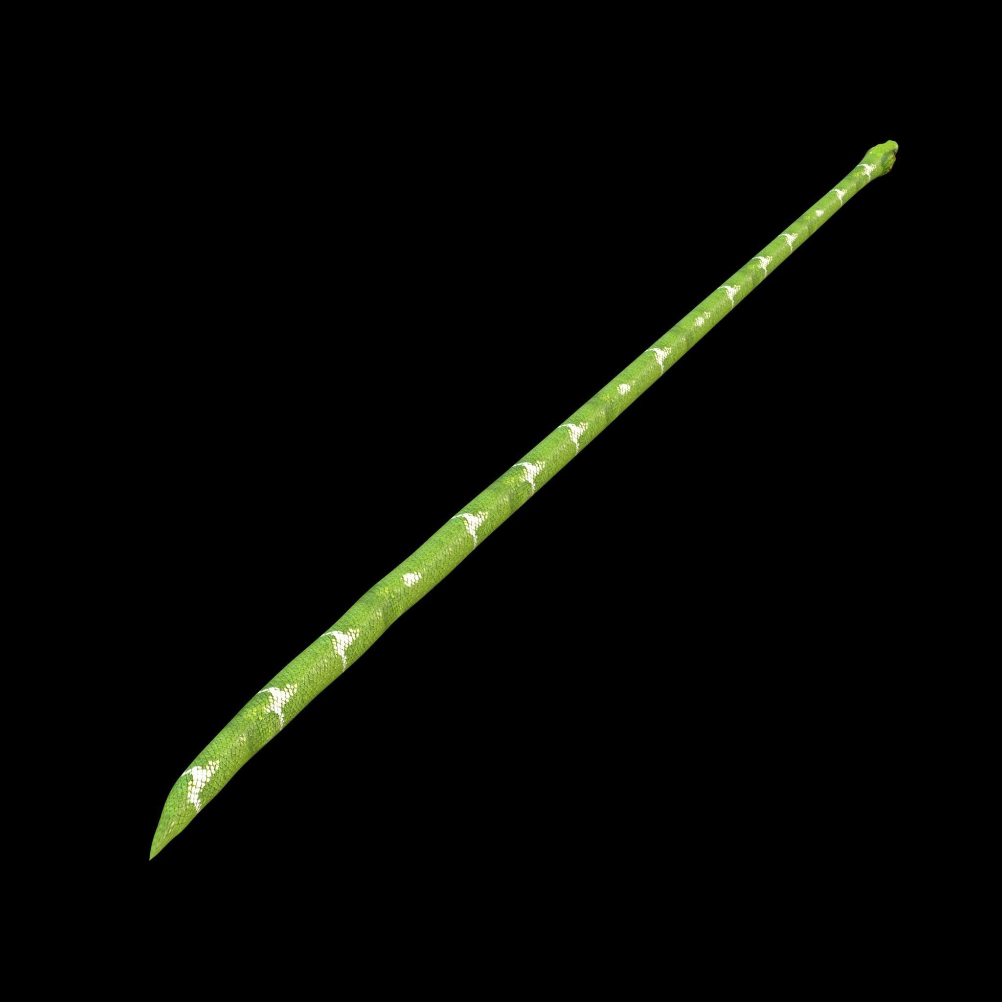 Green Snake Rig 3D model_4