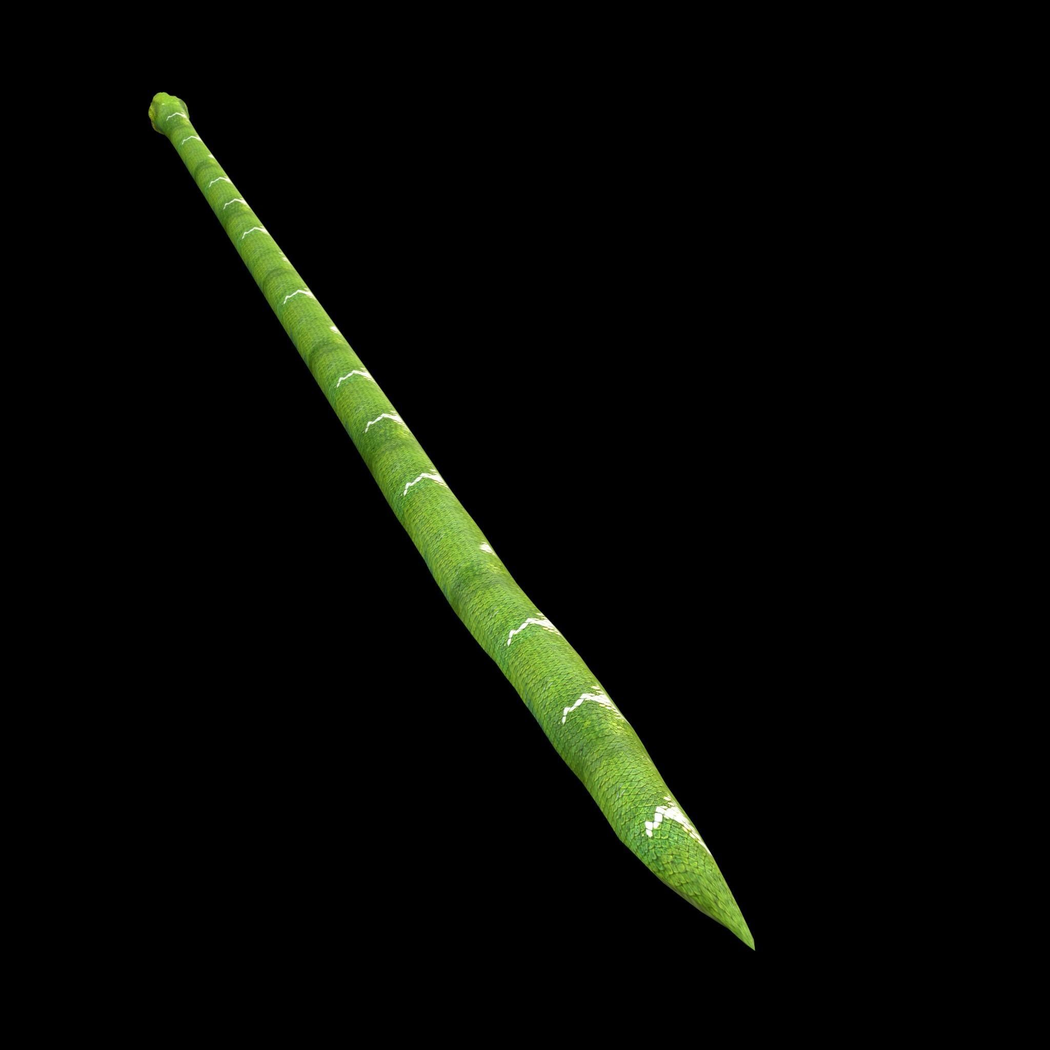 Green Snake Rig 3D model_8