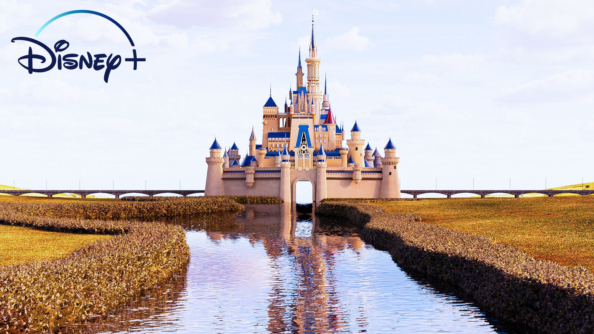 Disney Castle  3D model_5