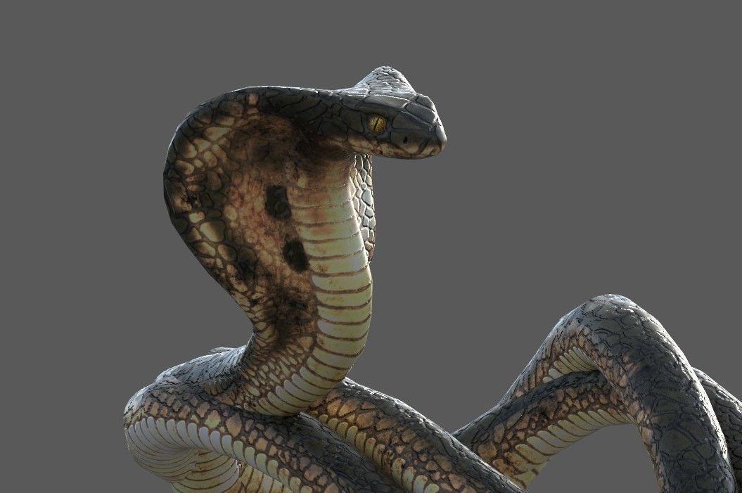 Lord Shiva rigged Low-poly 3D model_13