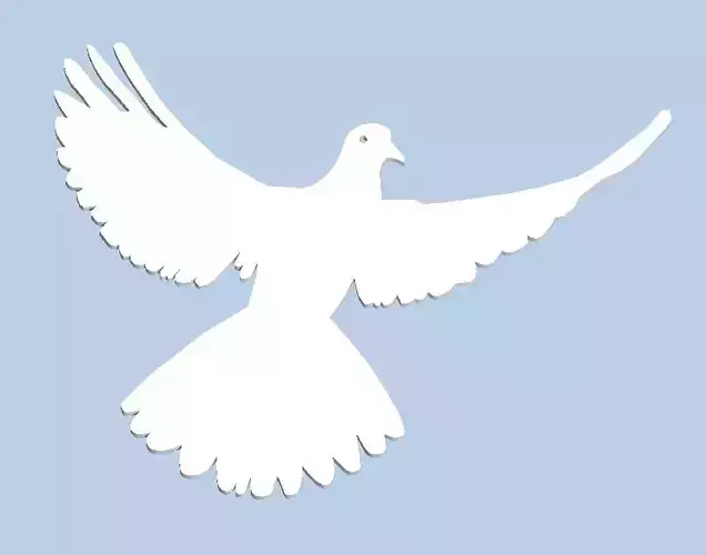Dove of Peace - Friedenstaube