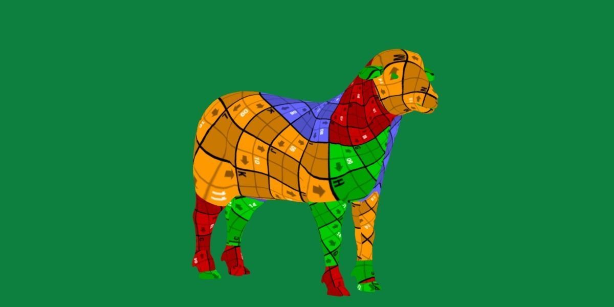 Columbia Sheep Low-poly 3D model_18